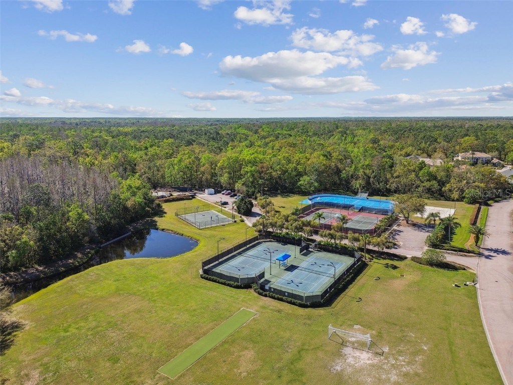 18005 Malakai Isle Drive Tampa FL 33647 - CORY LAKE TB8420628 image83