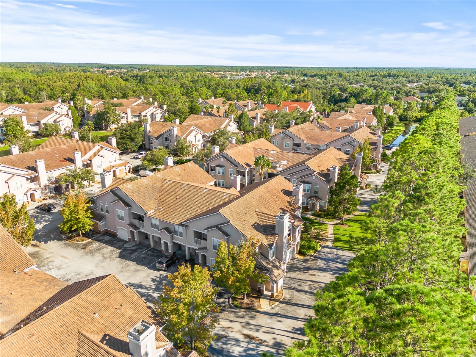 18006 Villa Creek Drive Tampa FL 33647 TB8485896 image12