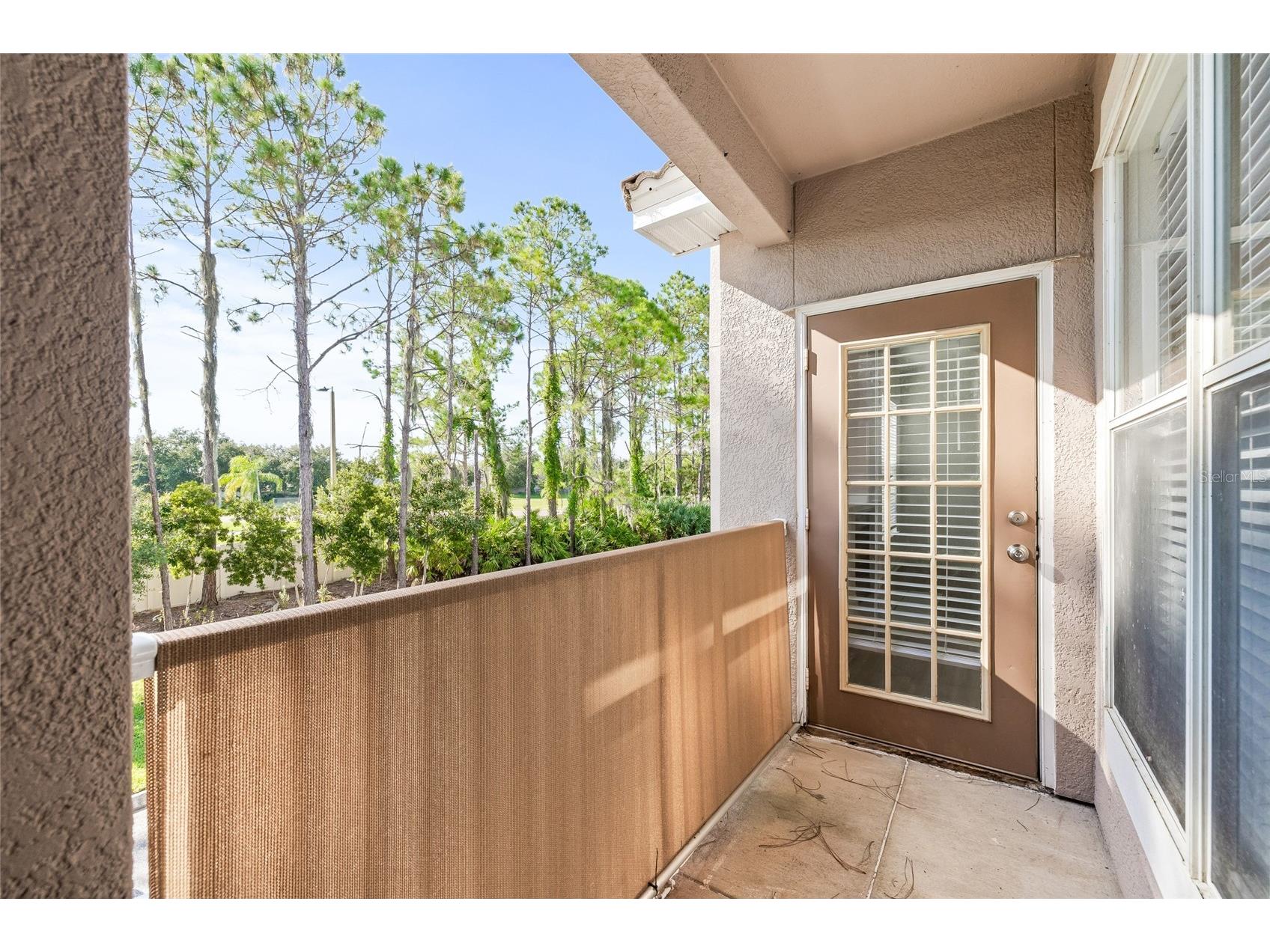 18006 Villa Creek Drive Tampa FL 33647 TB8485896 image32
