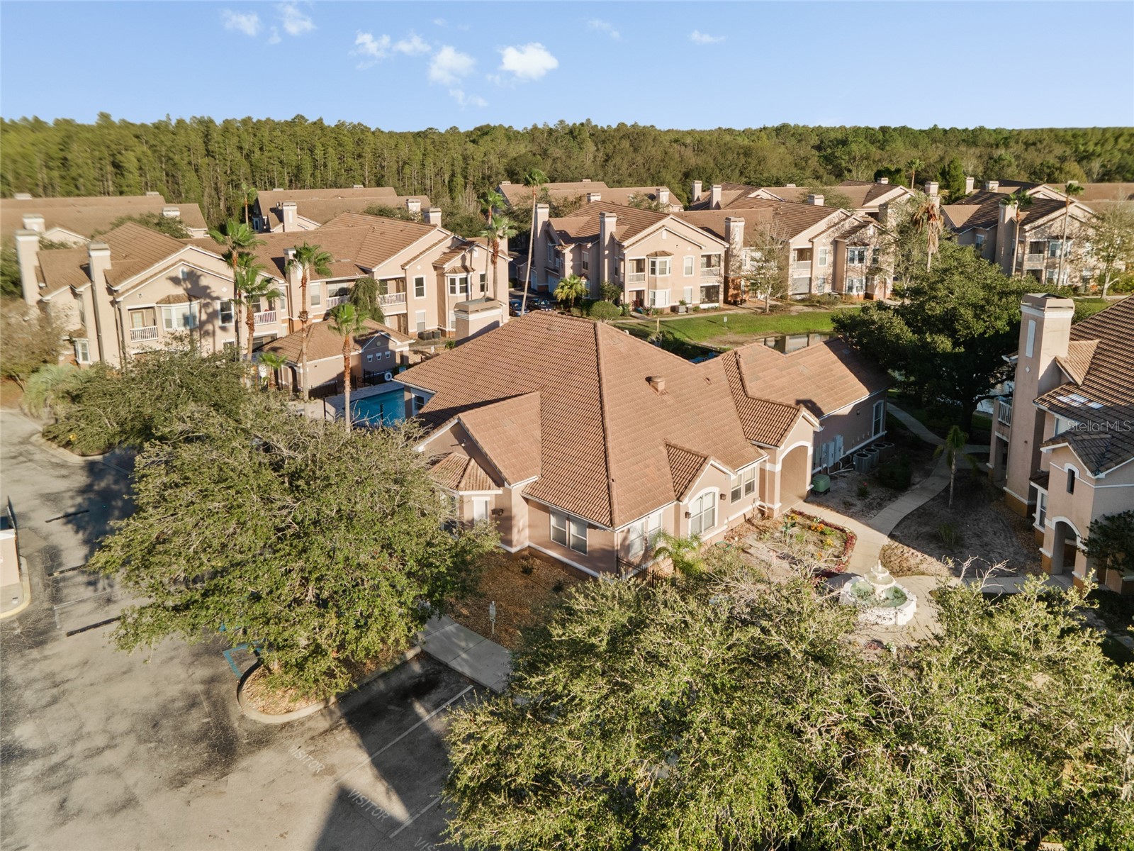 18006 Villa Creek Drive Tampa FL 33647 TB8485896 image43