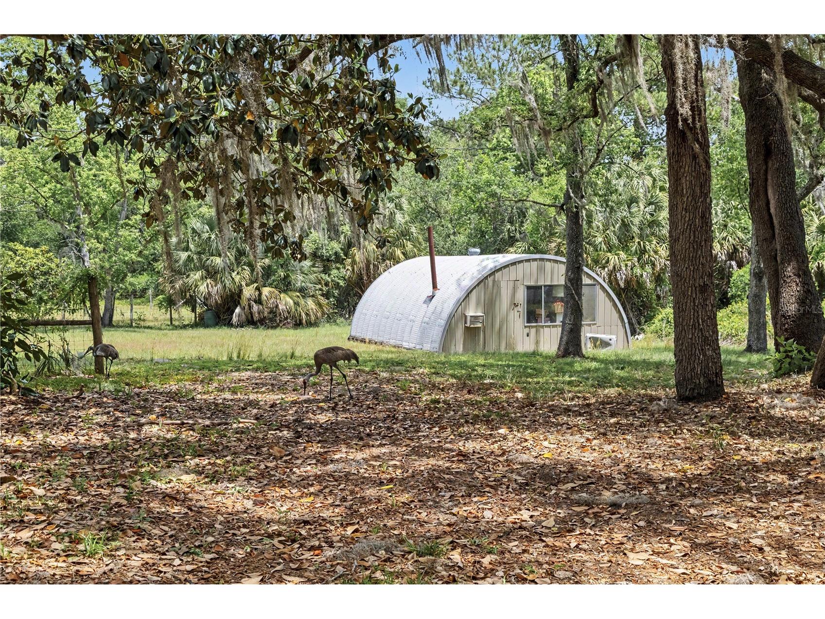 18007 SE 90th Street Ocklawaha FL 32179 - Long Lake O6405119 image31