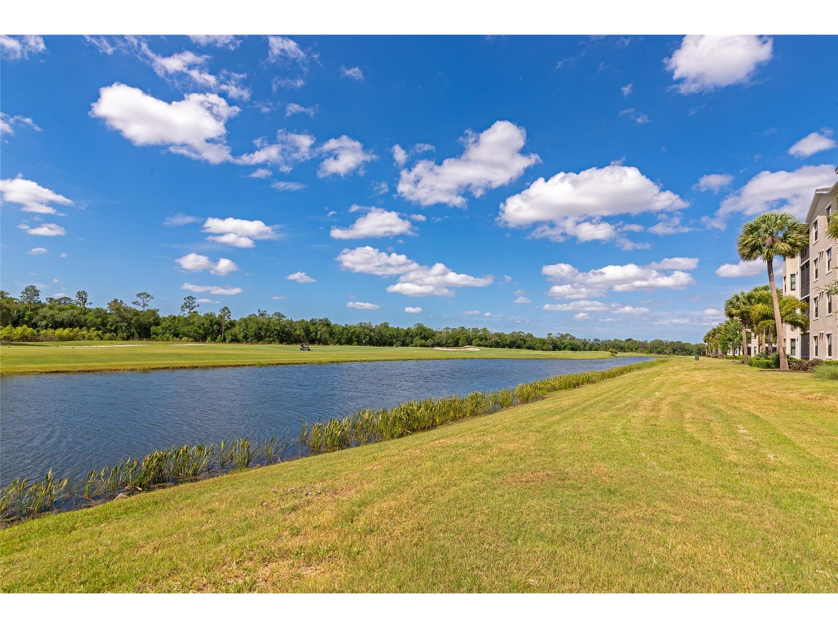 18008 Gawthrop Drive #101 Lakewood Ranch FL 34211 A4691538 image39