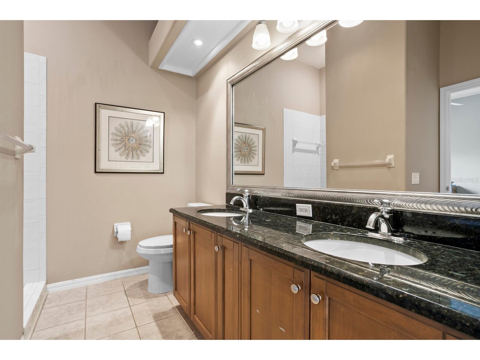 18008 Pinnacle Court Tampa FL 33647 TB8487975 image38