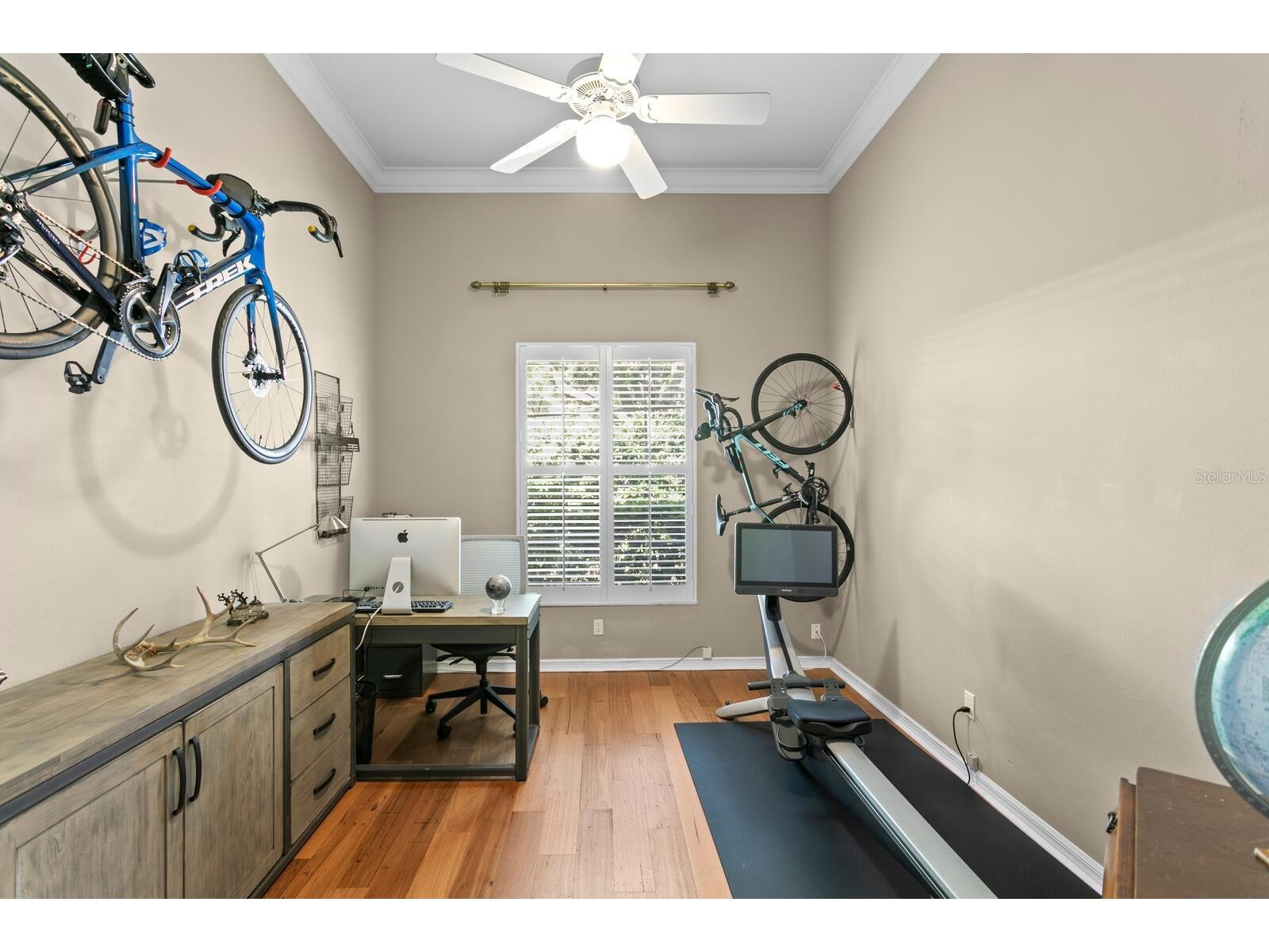 18008 Pinnacle Court Tampa FL 33647 TB8487975 image45