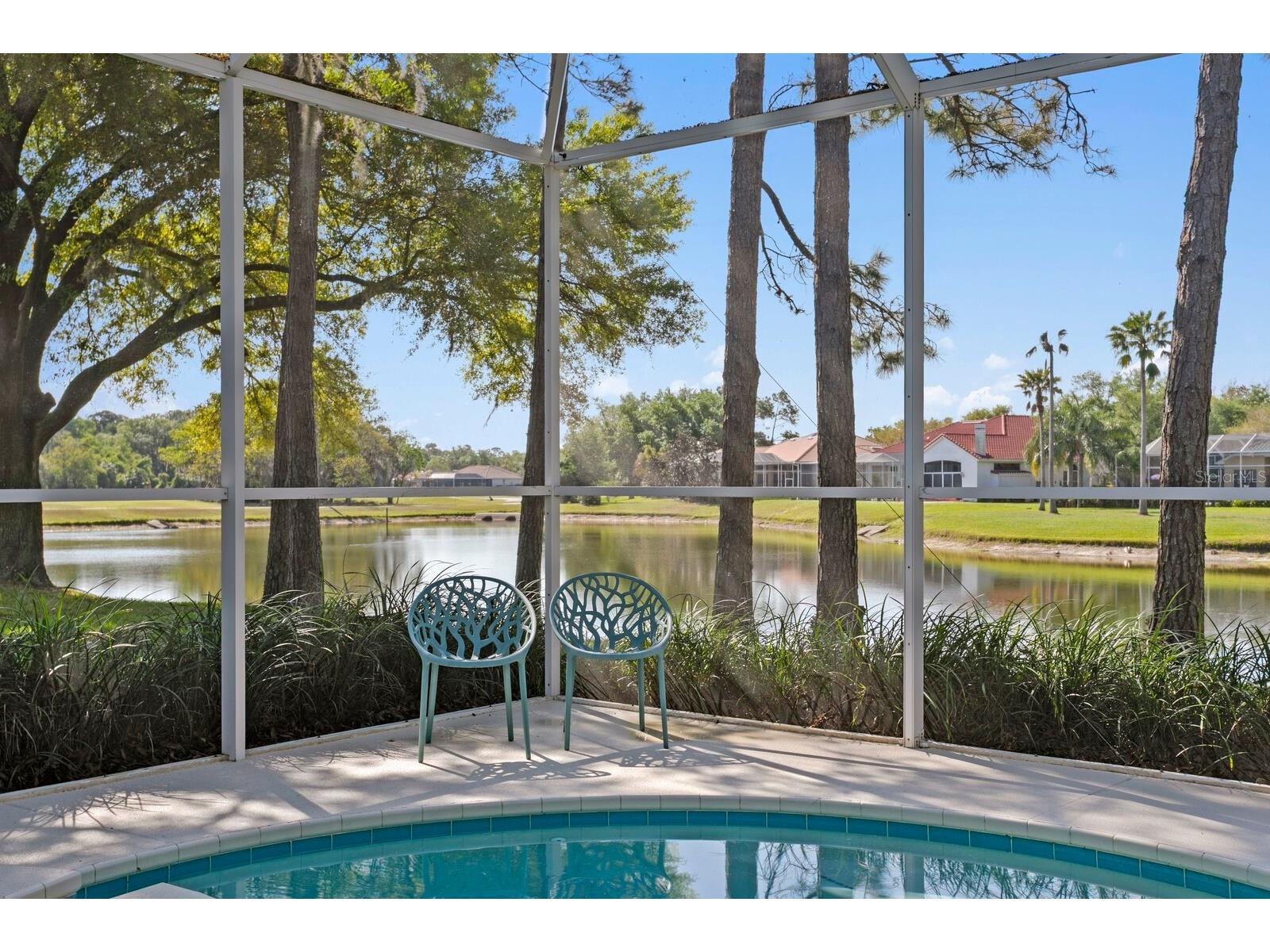18008 Pinnacle Court Tampa FL 33647 TB8487975 image54