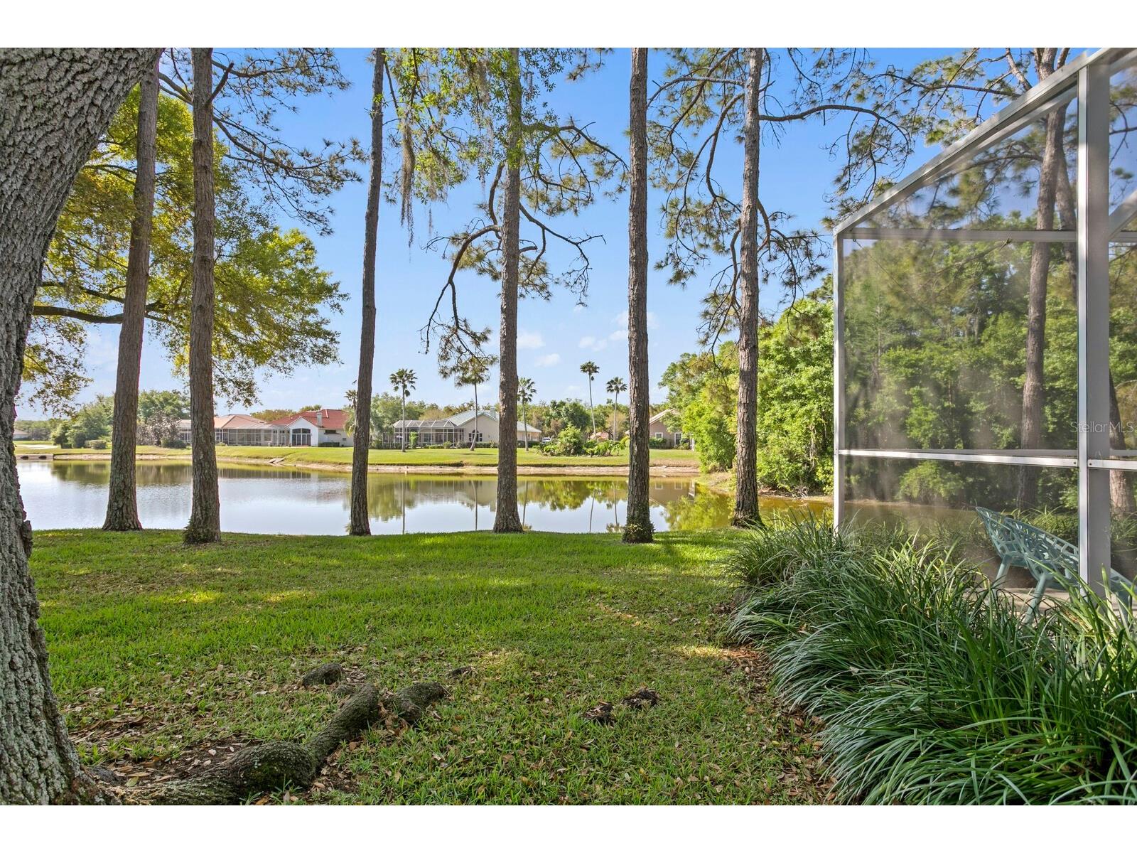 18008 Pinnacle Court Tampa FL 33647 TB8487975 image57