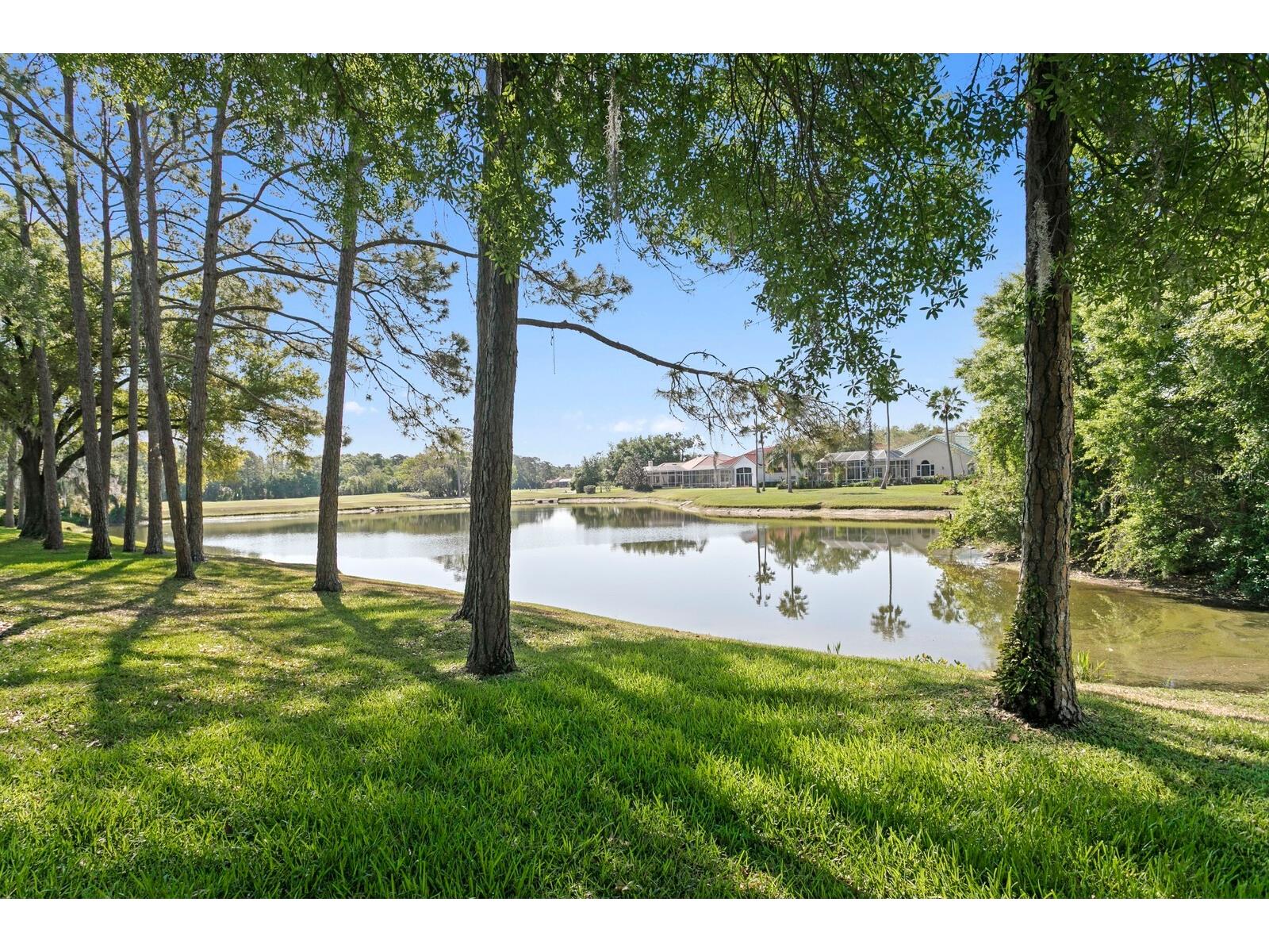 18008 Pinnacle Court Tampa FL 33647 TB8487975 image58