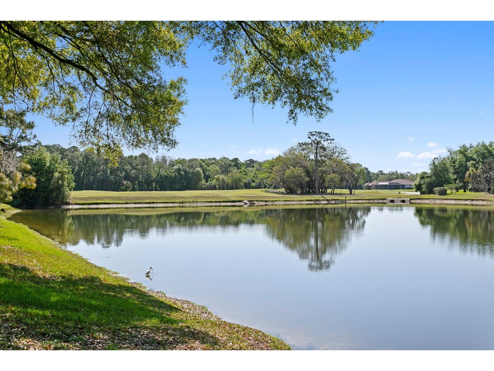 18008 Pinnacle Court Tampa FL 33647 TB8487975 image60