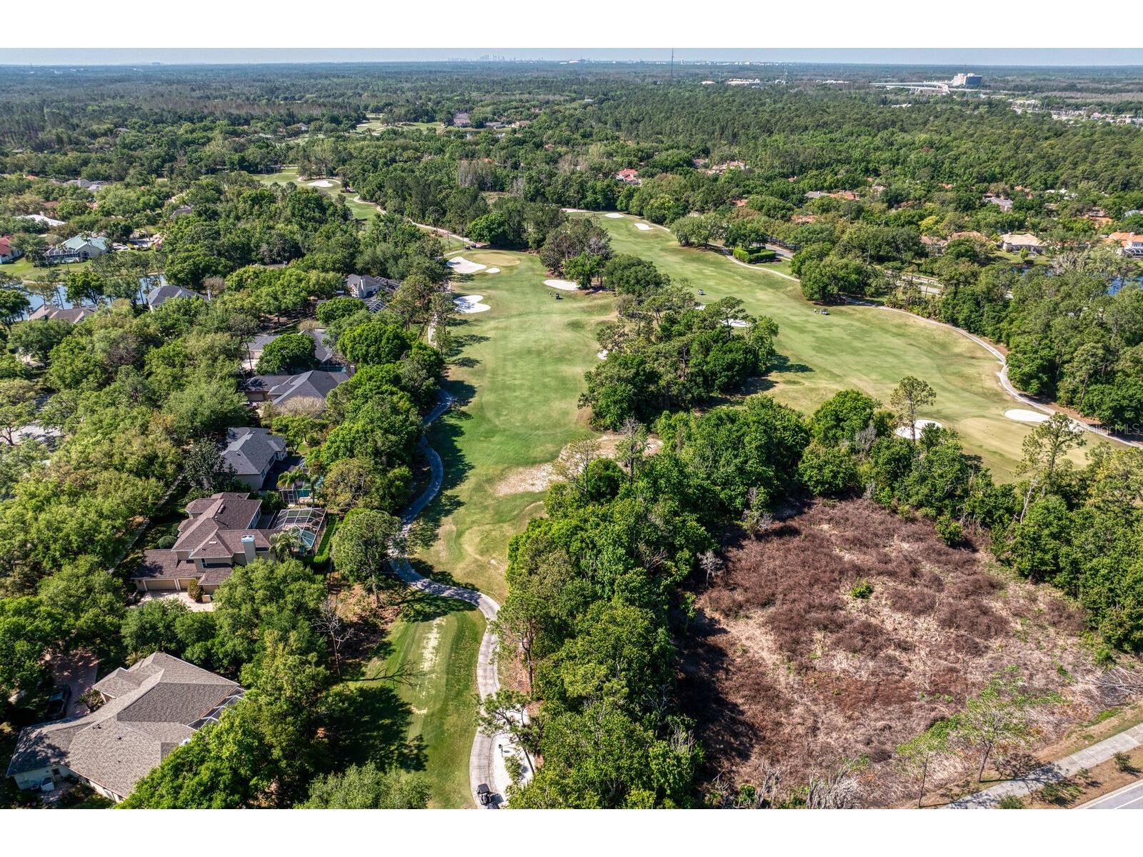 18008 Pinnacle Court Tampa FL 33647 TB8487975 image69
