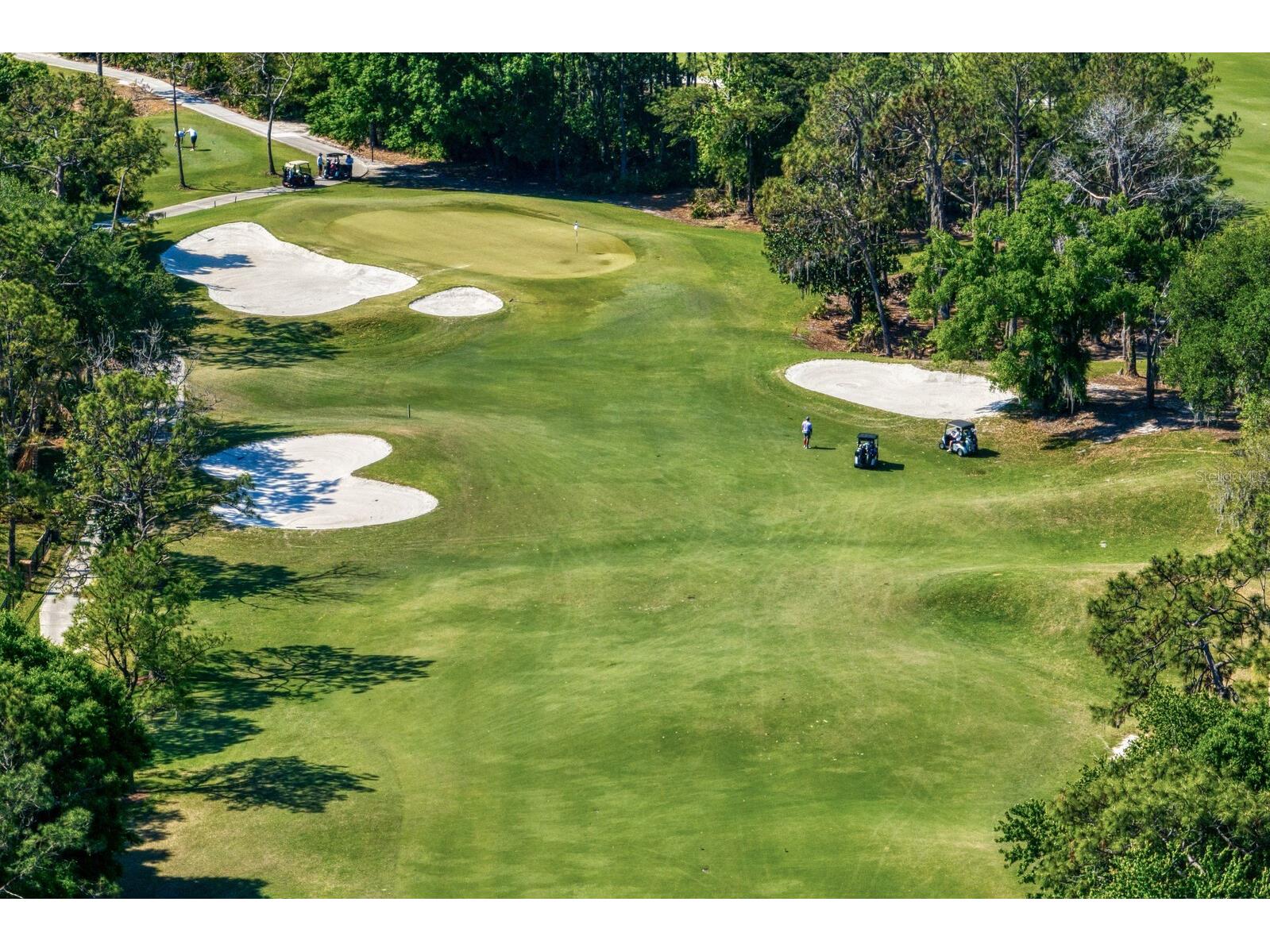 18008 Pinnacle Court Tampa FL 33647 TB8487975 image70