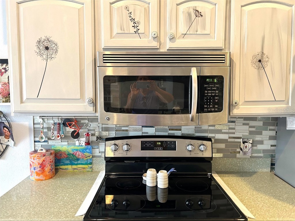 18008 Tarrington Place Hudson FL 34667 TB8441967 image13