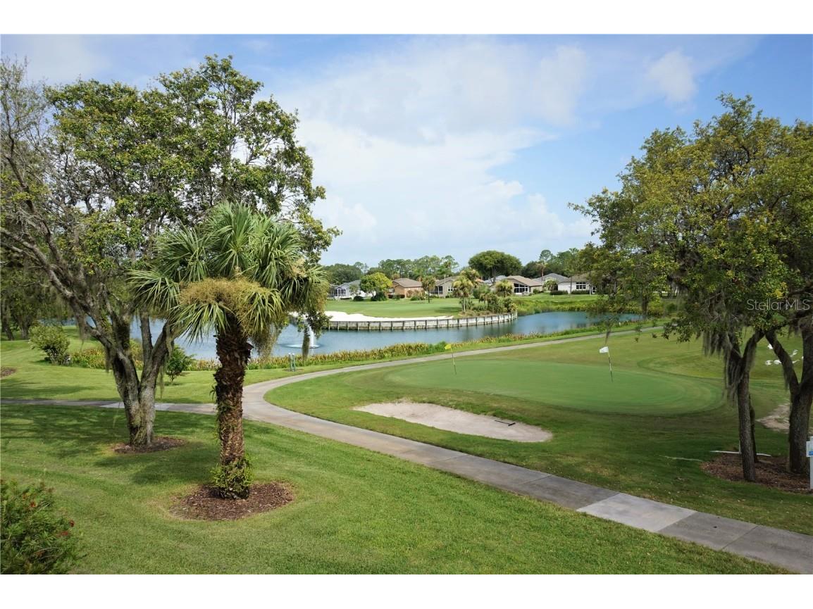 18008 Tarrington Place Hudson FL 34667 TB8441967 image34