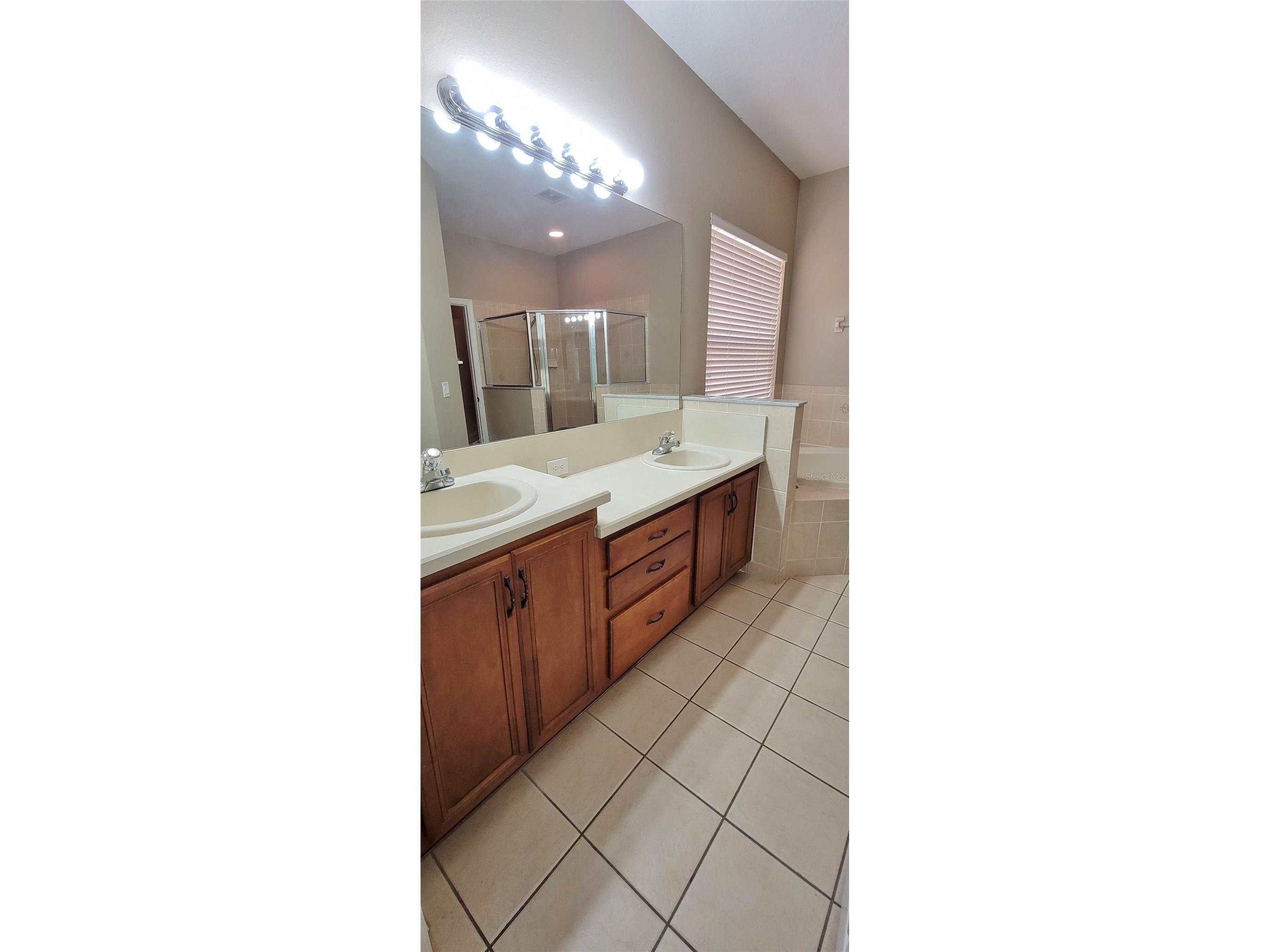 18009 Maui Isle Drive Tampa FL 33647 TB8487733 image22