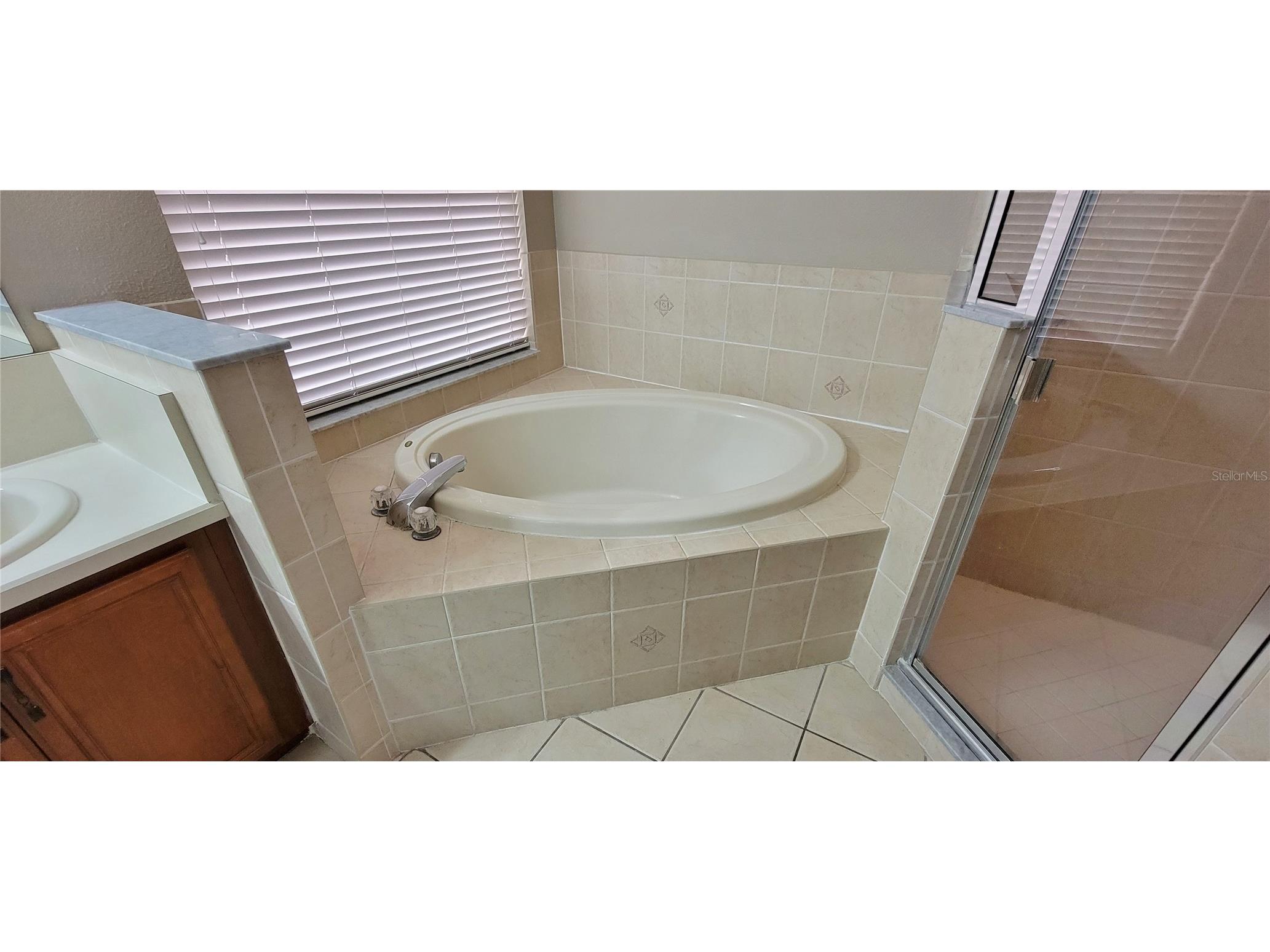 18009 Maui Isle Drive Tampa FL 33647 TB8487733 image23