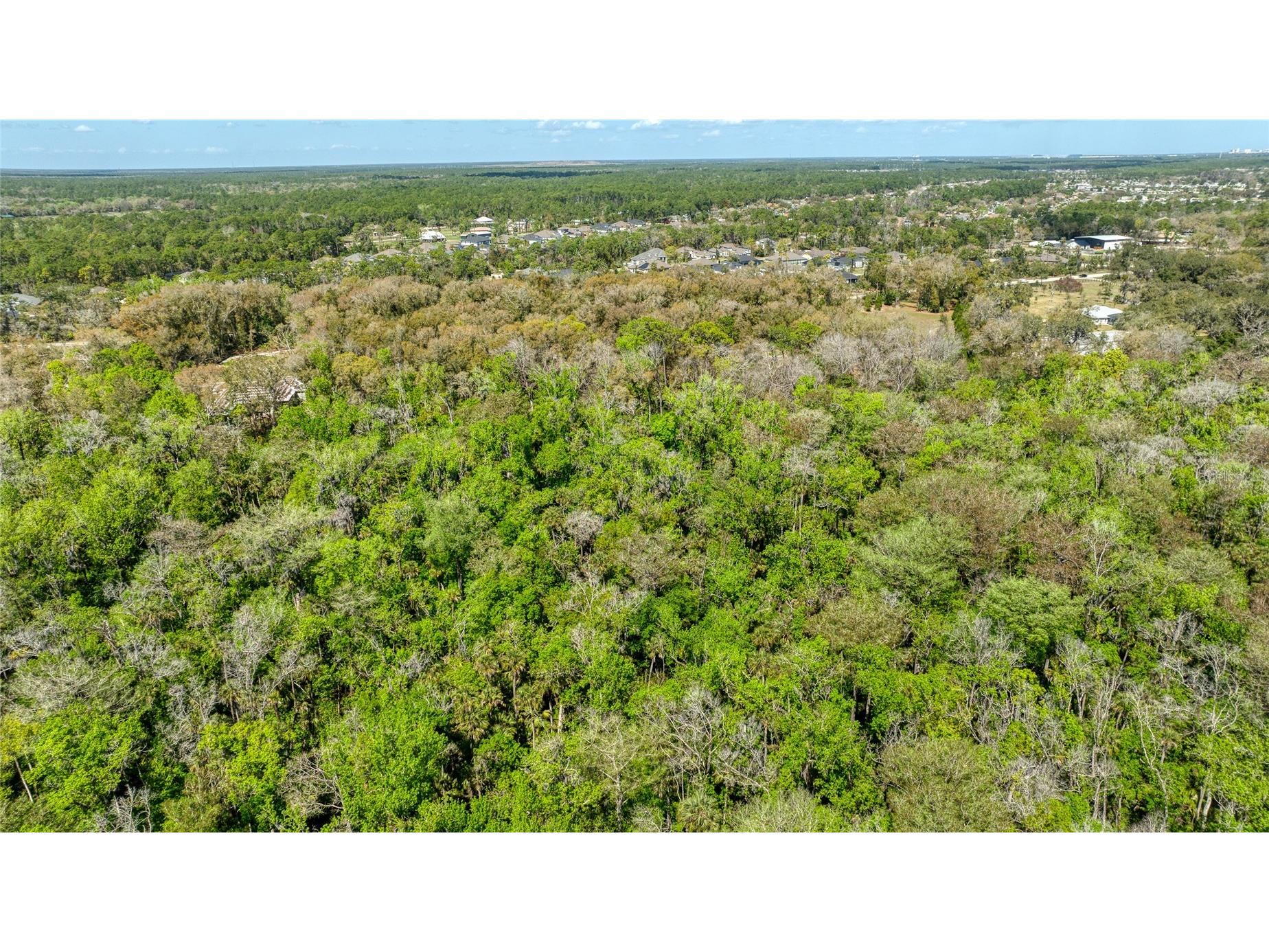 1801 Adrian Creek Boulevard Port Orange FL 32128 - Spruce Creek V4948128 image16