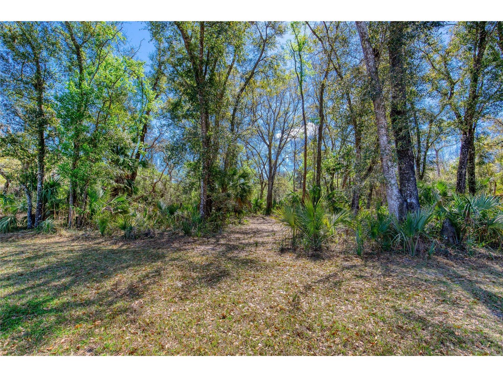 1801 Adrian Creek Boulevard Port Orange FL 32128 - Spruce Creek V4948128 image7