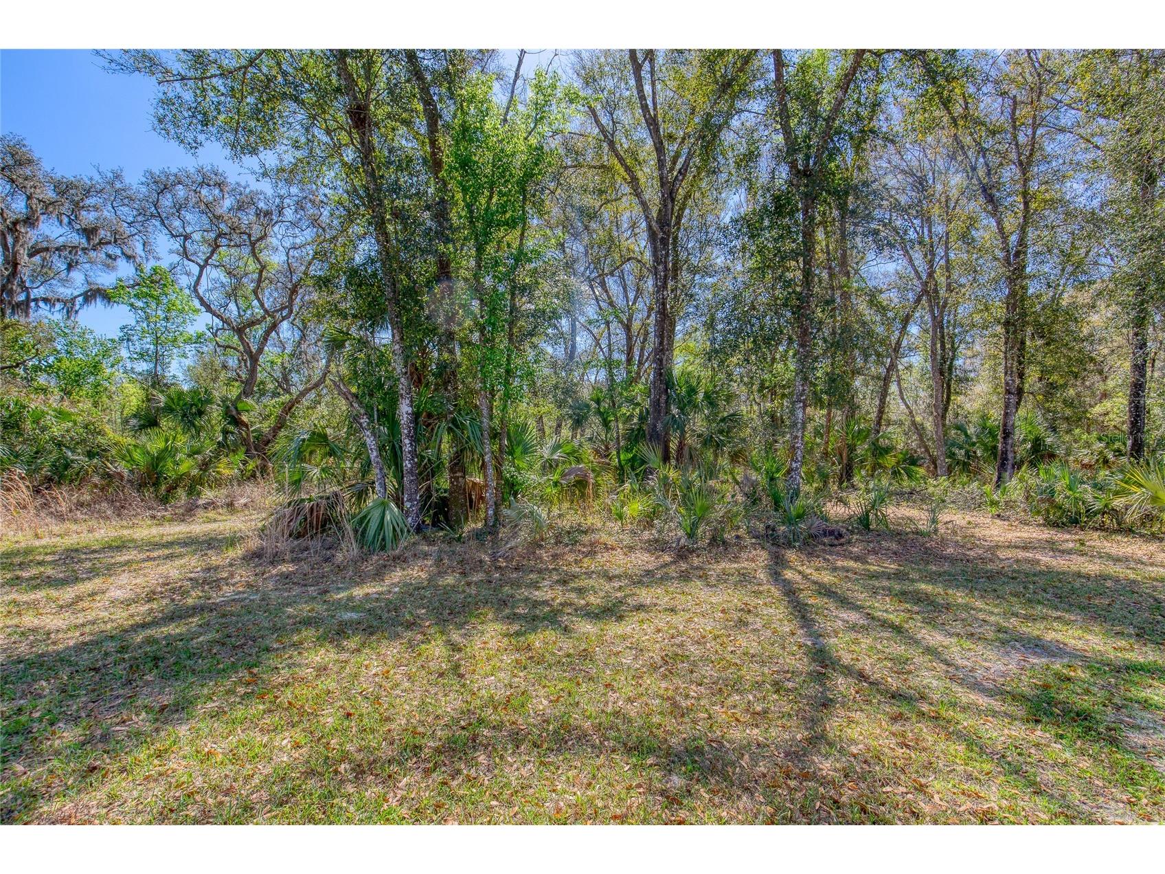 1801 Adrian Creek Boulevard Port Orange FL 32128 - Spruce Creek V4948128 image8