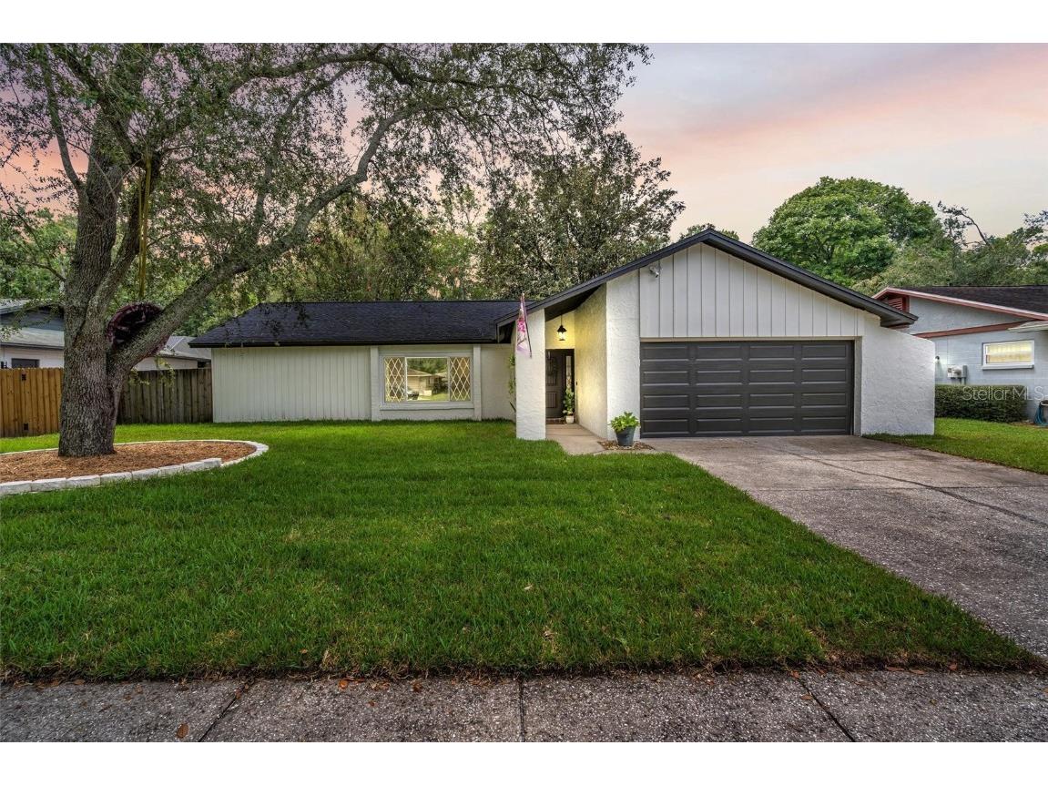 1801 Blind Pond Avenue Lutz FL 33549 T3469525 image1