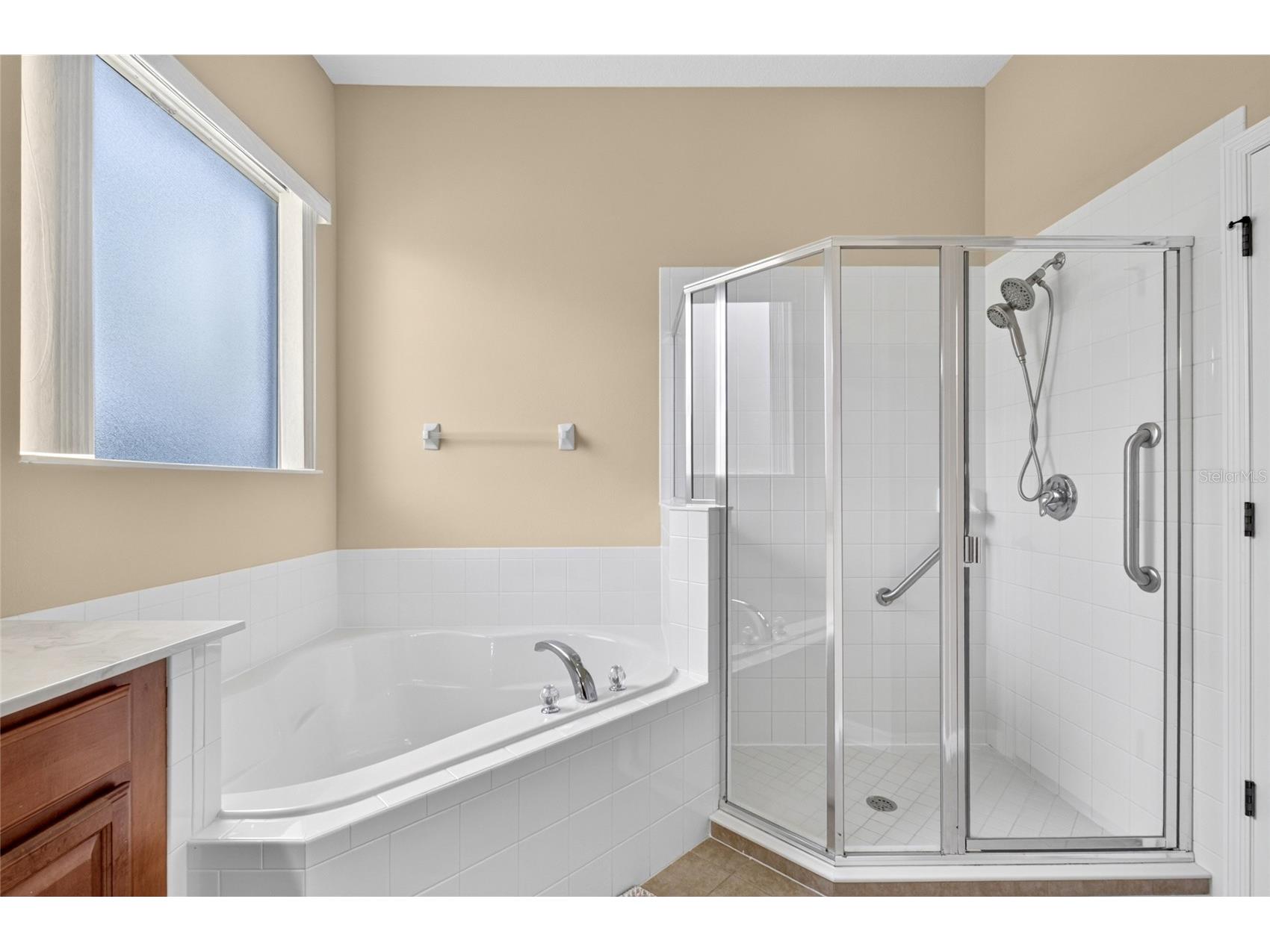 1801 Burdock Drive Winter Garden FL 34787 O6419427 image21