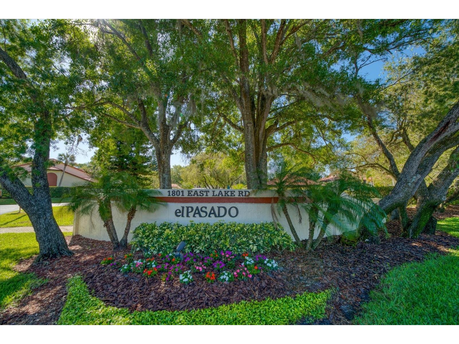 1801 E Lake Road #10D Palm Harbor FL 34685 TB8480246 image2