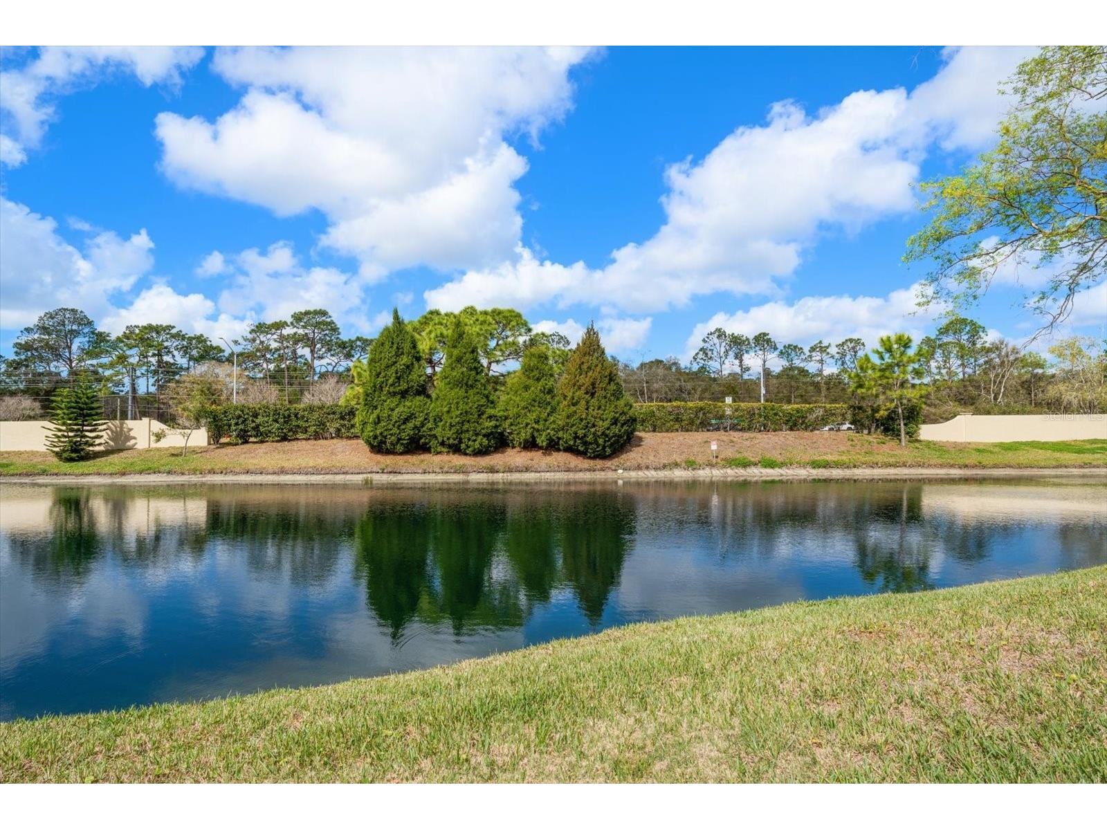 1801 E Lake Road #10D Palm Harbor FL 34685 TB8480246 image22