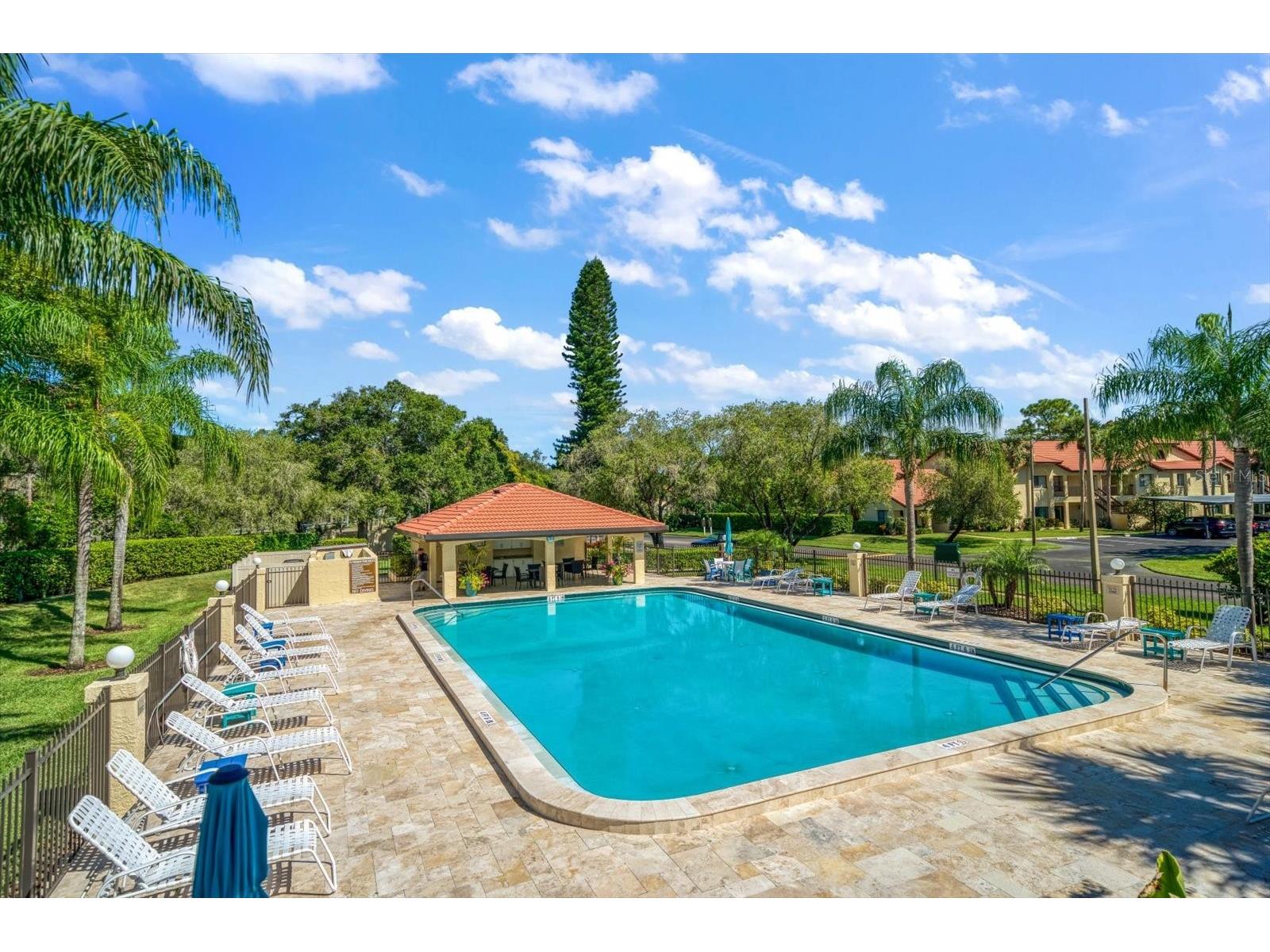 1801 E Lake Road #10D Palm Harbor FL 34685 TB8480246 image24