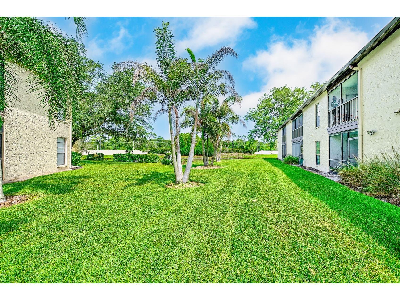 1801 E Lake Road #10F Palm Harbor FL 34685 TB8516544 image36