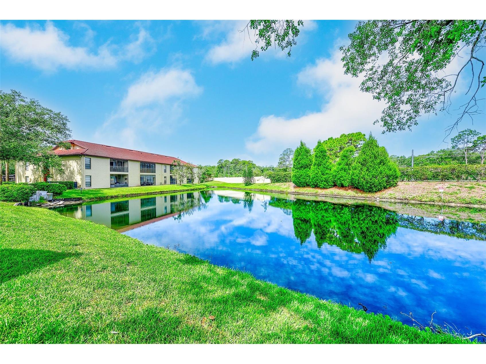 1801 E Lake Road #10F Palm Harbor FL 34685 TB8516544 image37