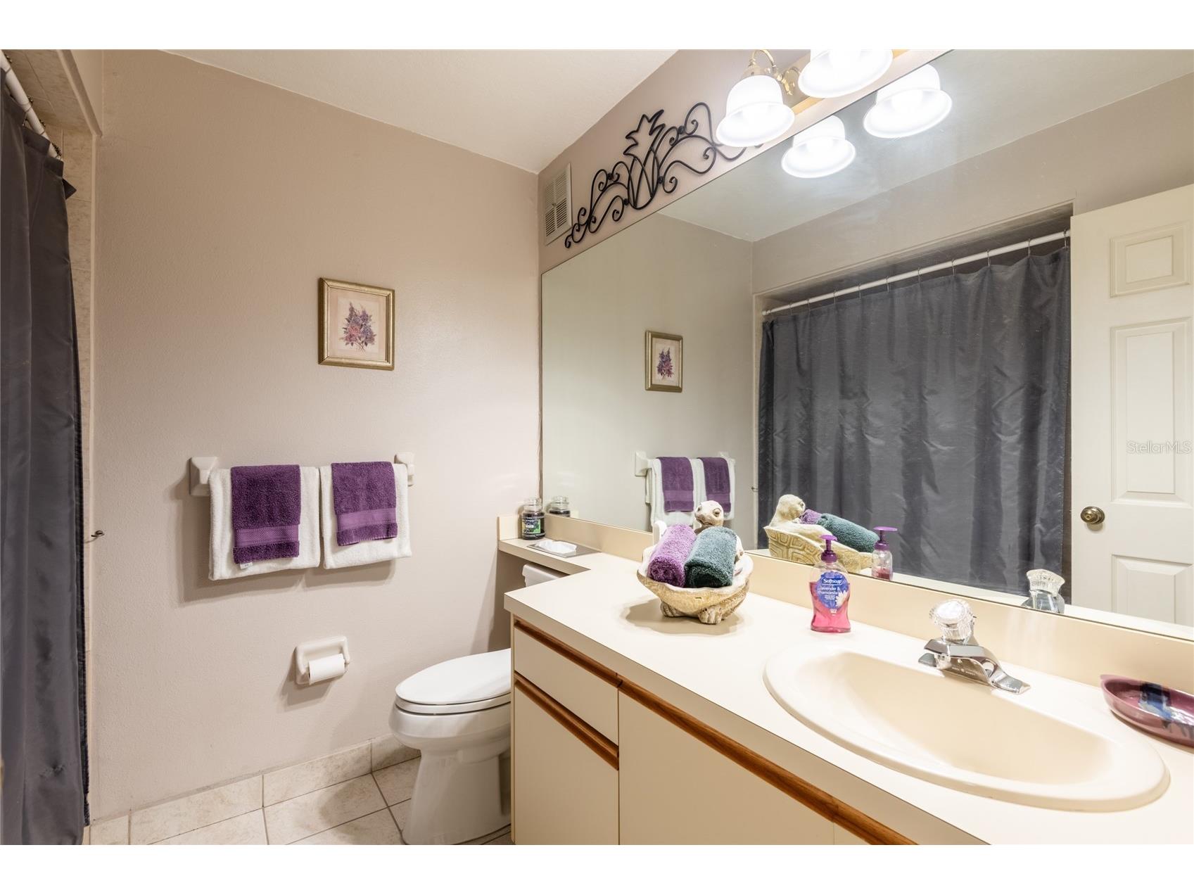 1801 E Lake Road #11D Palm Harbor FL 34685 TB8470308 image12