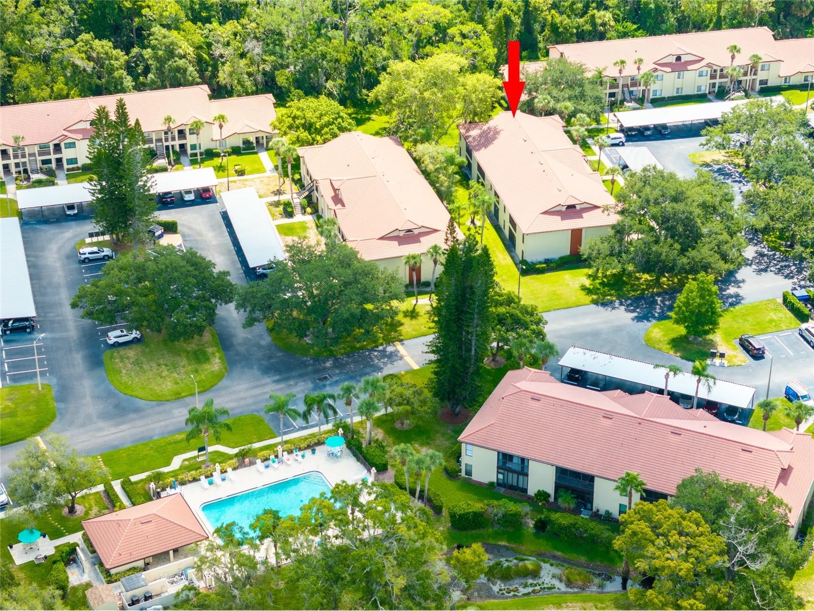 1801 E Lake Road #11D Palm Harbor FL 34685 TB8470308 image4