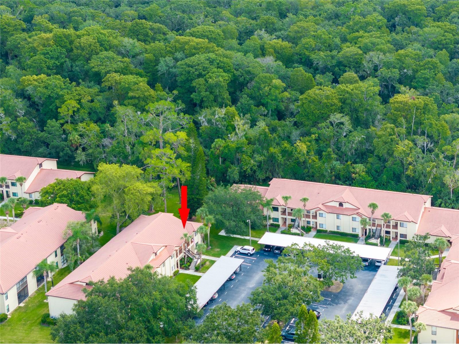 1801 E Lake Road #11D Palm Harbor FL 34685 TB8470308 image5