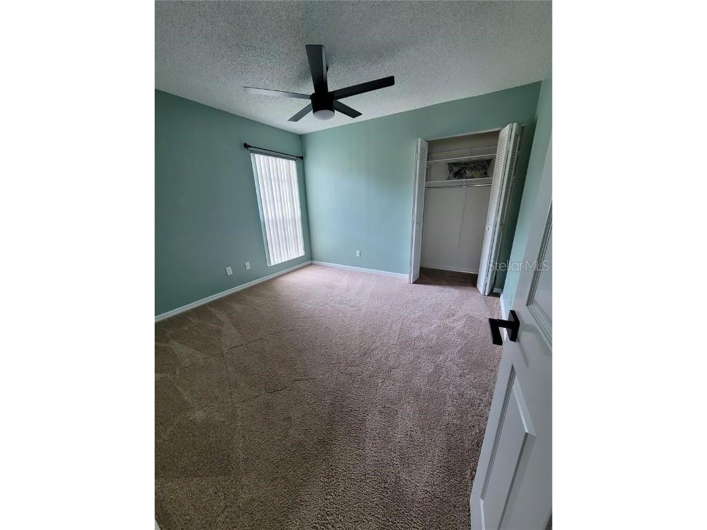 1801 E Lake Road #15E Palm Harbor FL 34685 TB8450818 image15