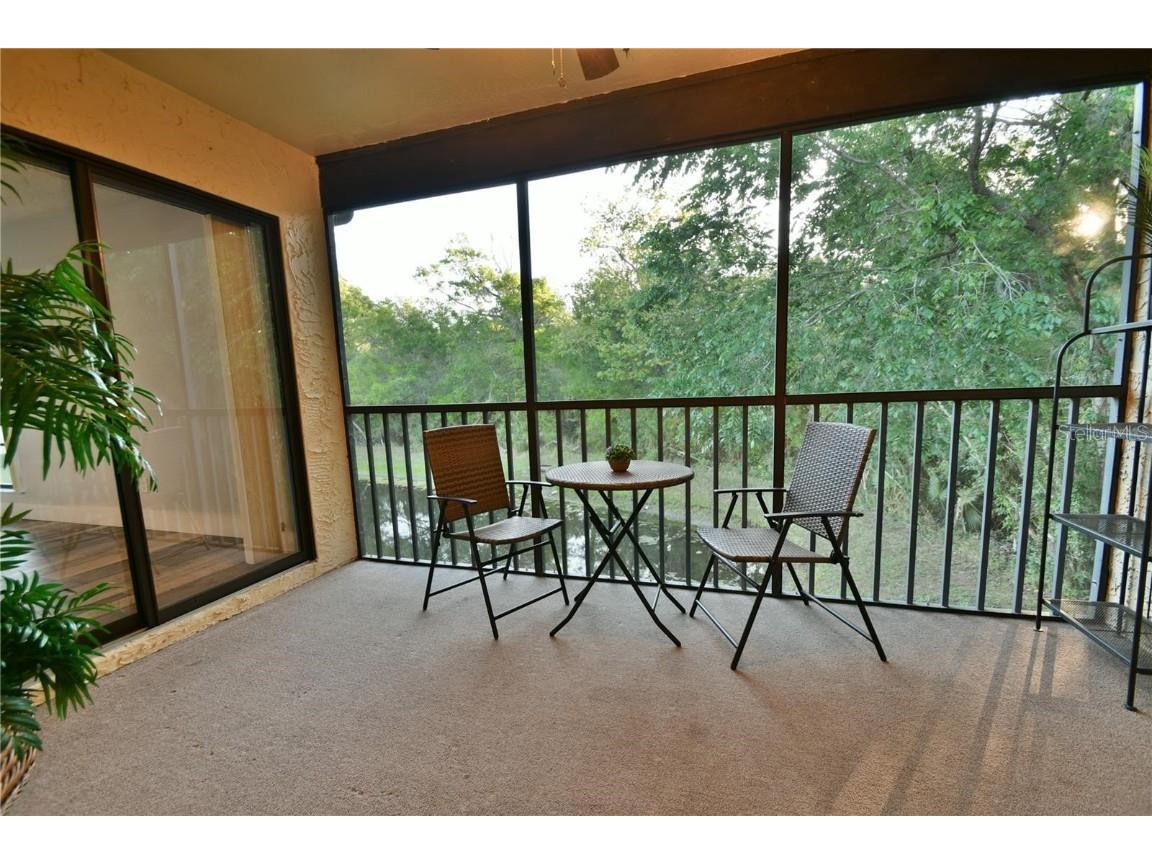 1801 E Lake Road #15E Palm Harbor FL 34685 TB8450818 image18