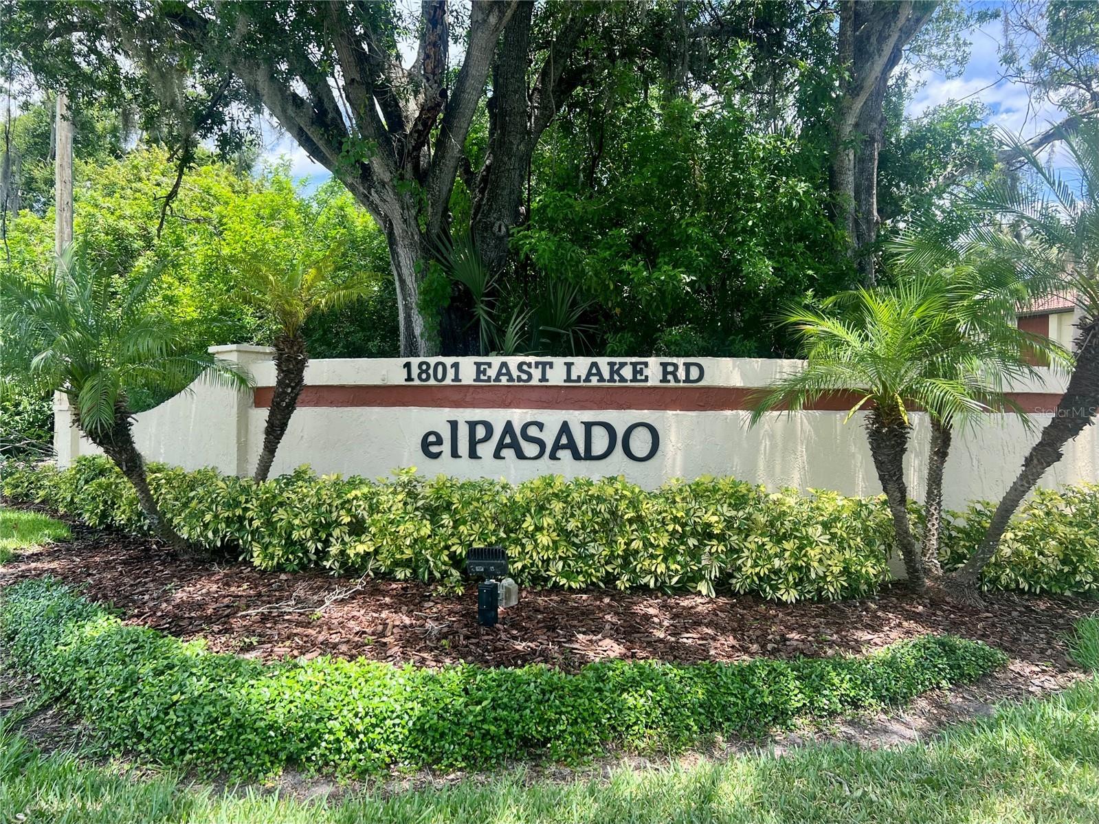 1801 E Lake Road #17C Palm Harbor FL 34685 TB8505105 image2