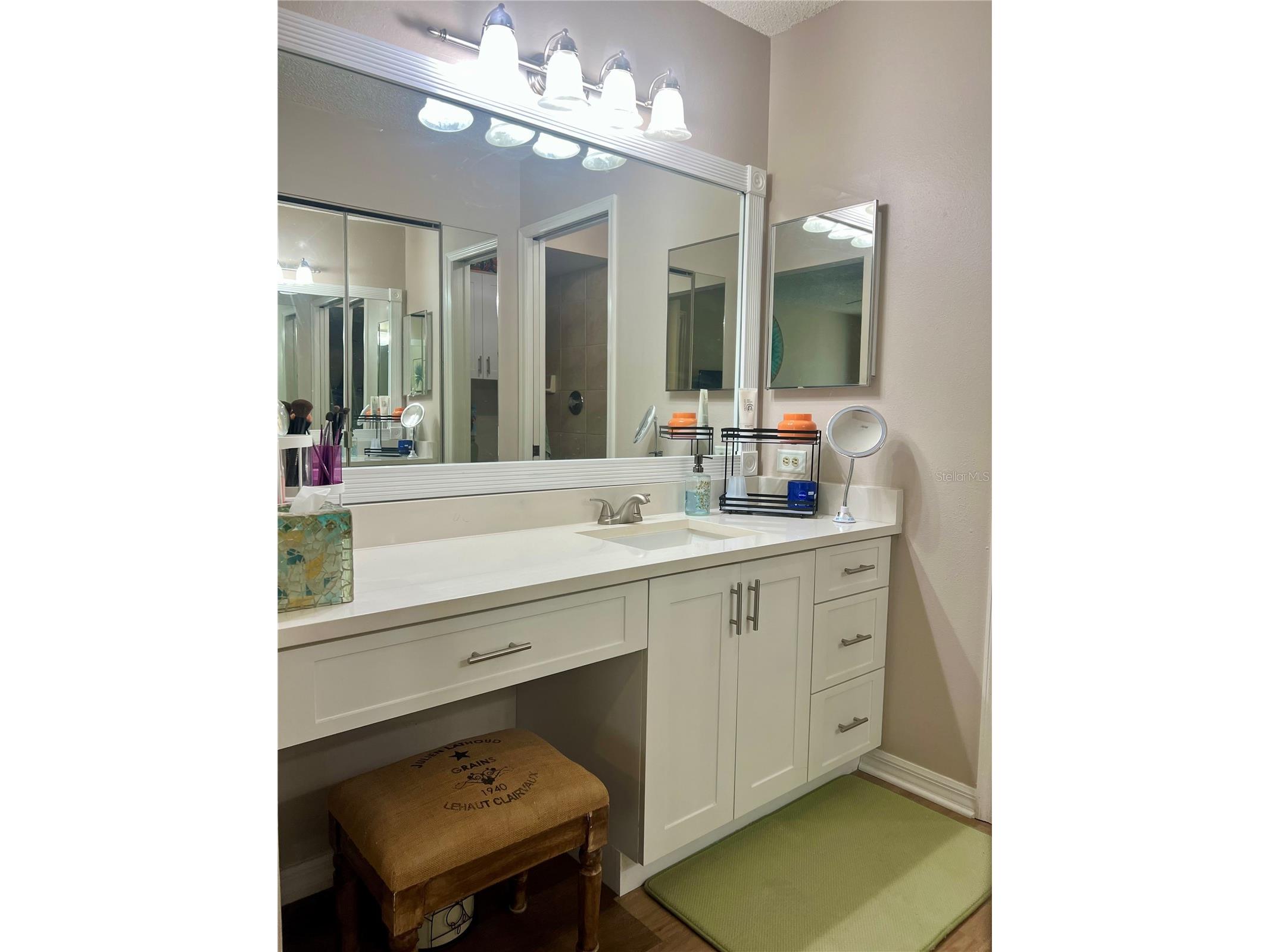 1801 E Lake Road #17C Palm Harbor FL 34685 TB8505105 image27