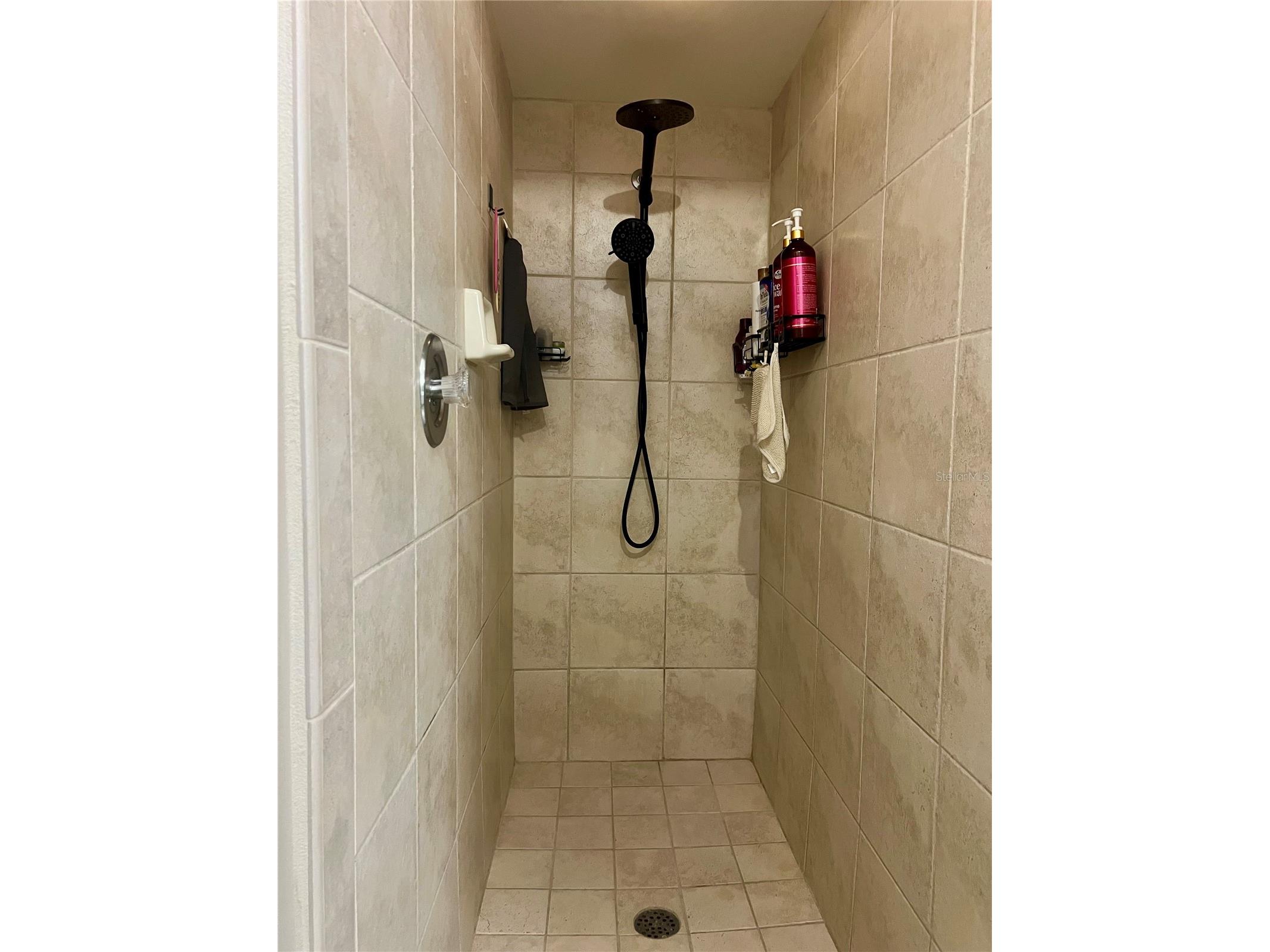 1801 E Lake Road #17C Palm Harbor FL 34685 TB8505105 image29