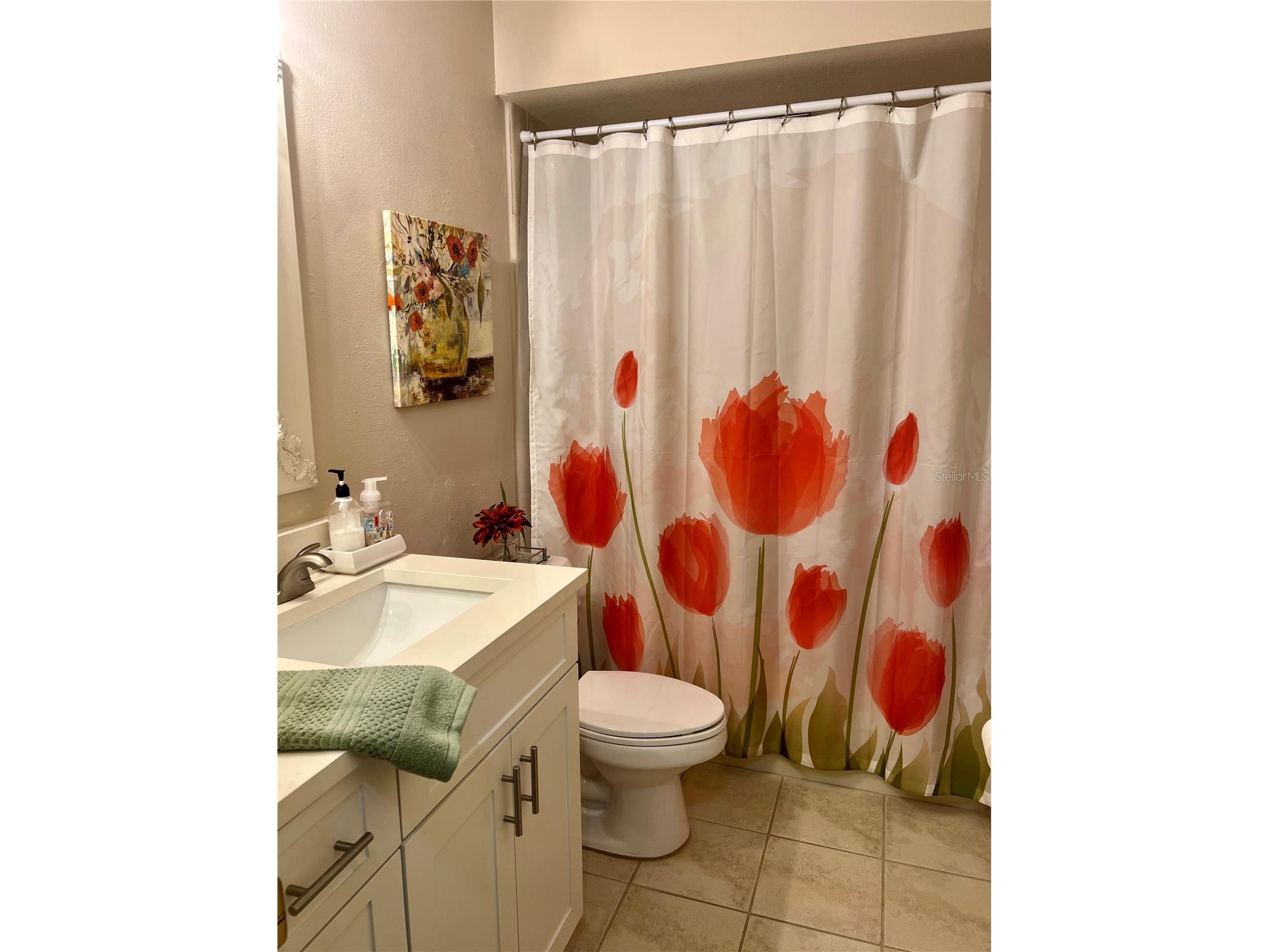 1801 E Lake Road #17C Palm Harbor FL 34685 TB8505105 image36