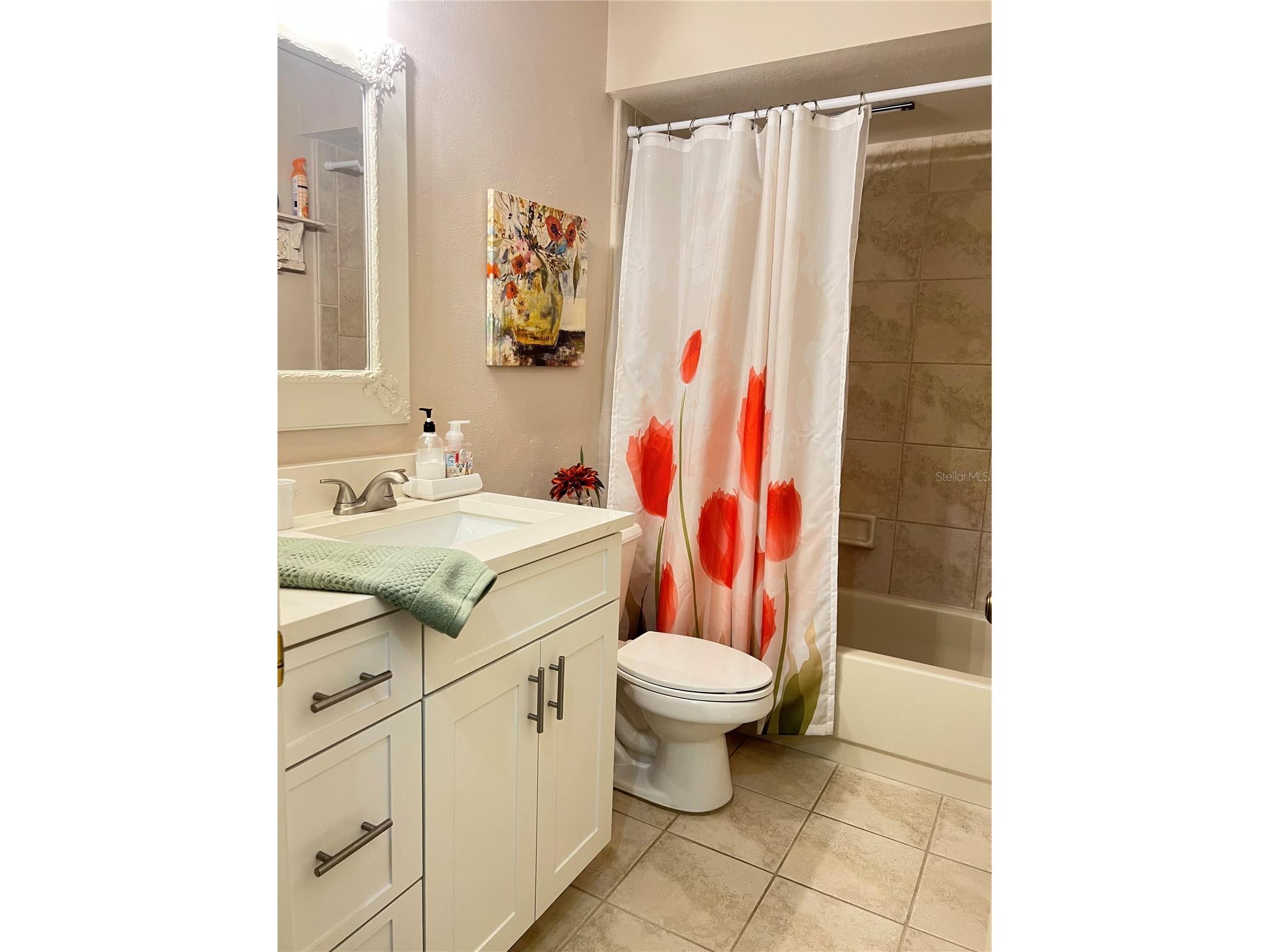 1801 E Lake Road #17C Palm Harbor FL 34685 TB8505105 image37