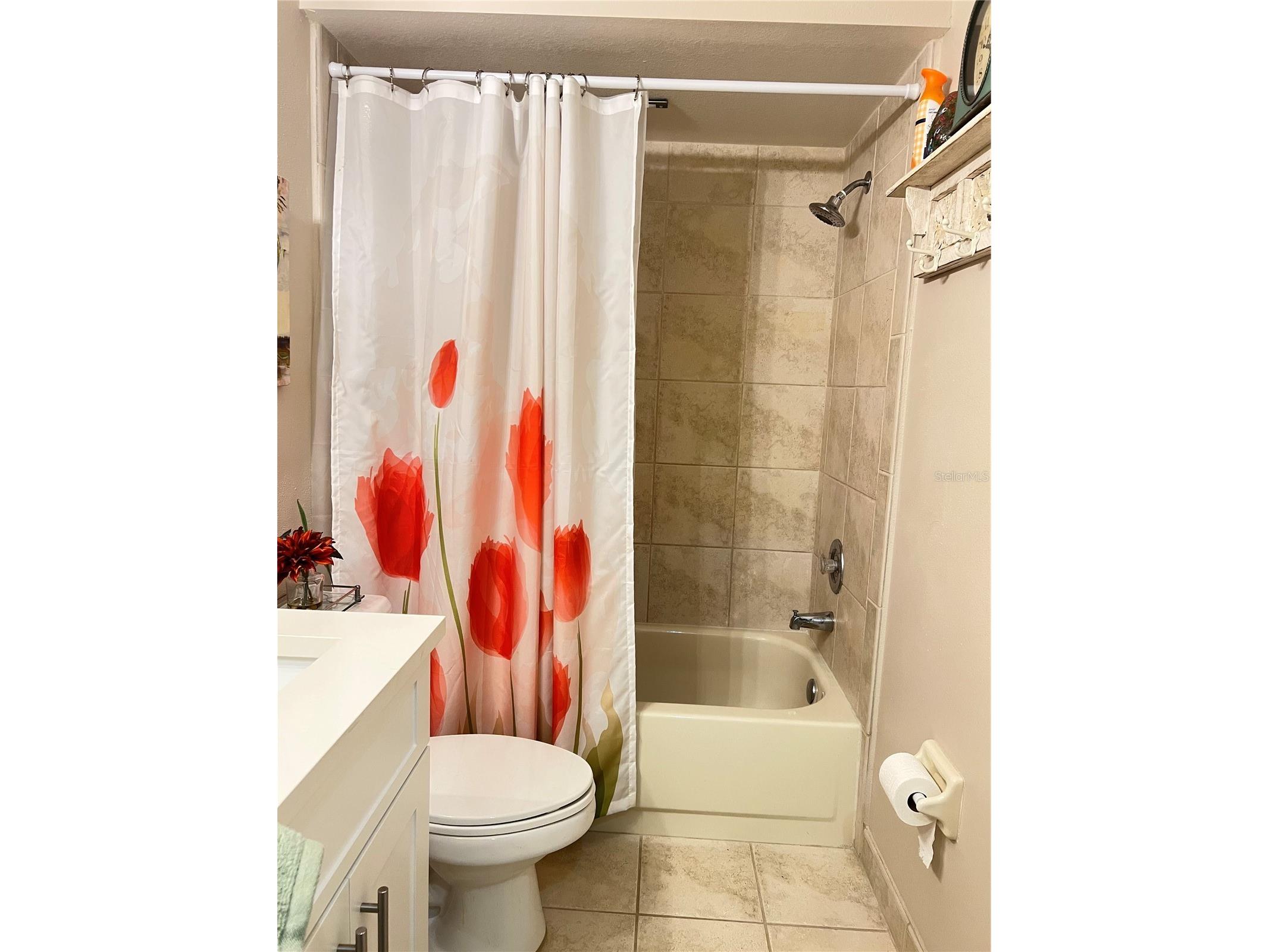 1801 E Lake Road #17C Palm Harbor FL 34685 TB8505105 image38