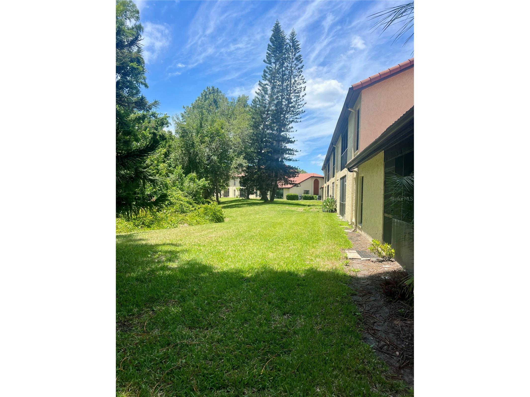 1801 E Lake Road #17C Palm Harbor FL 34685 TB8505105 image47