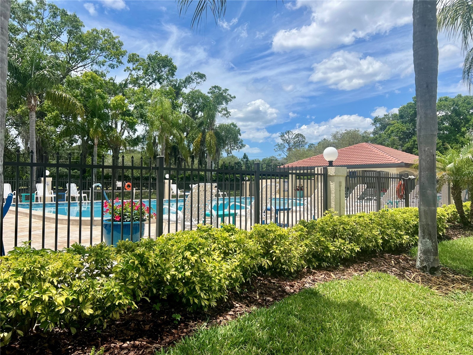 1801 E Lake Road #17C Palm Harbor FL 34685 TB8505105 image56