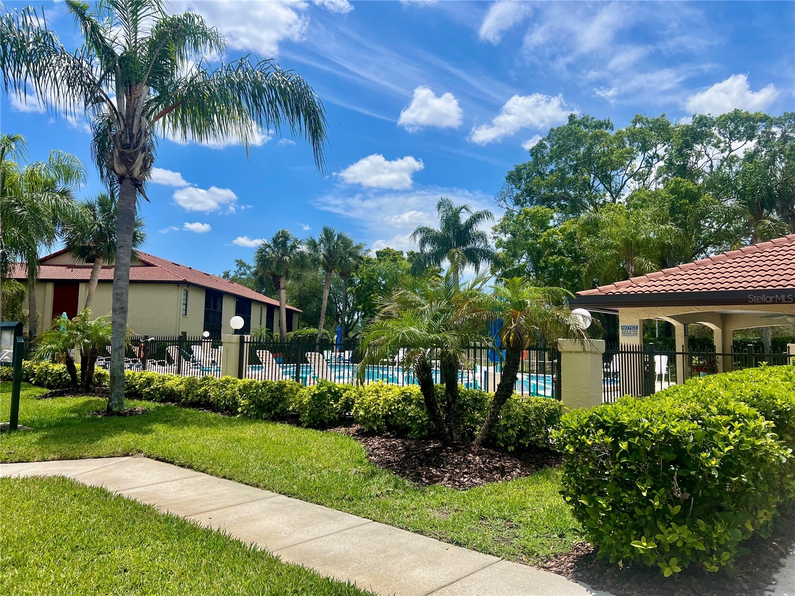 1801 E Lake Road #17C Palm Harbor FL 34685 TB8505105 image57