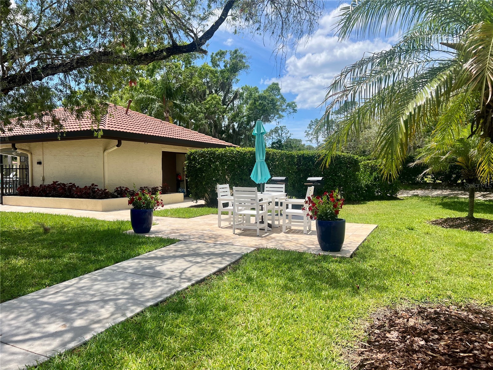 1801 E Lake Road #17C Palm Harbor FL 34685 TB8505105 image59