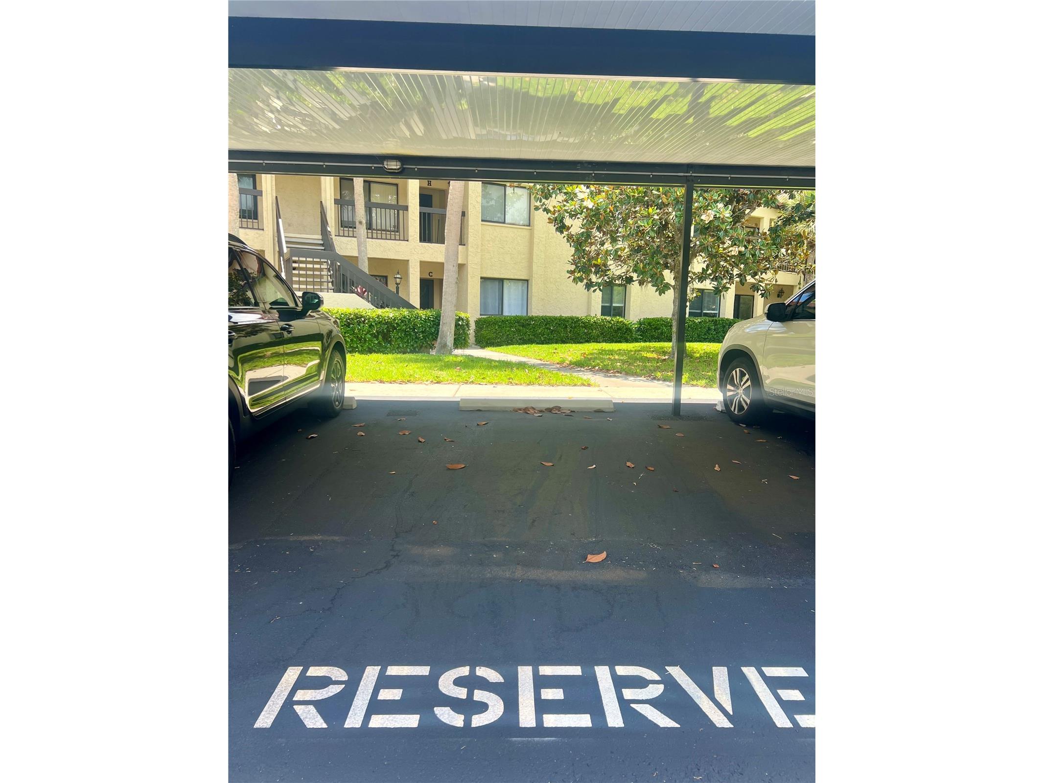 1801 E Lake Road #17C Palm Harbor FL 34685 TB8505105 image61