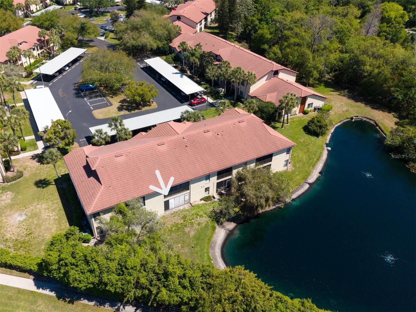 1801 E Lake Road #20C Palm Harbor FL 34685 TB8491123 image50