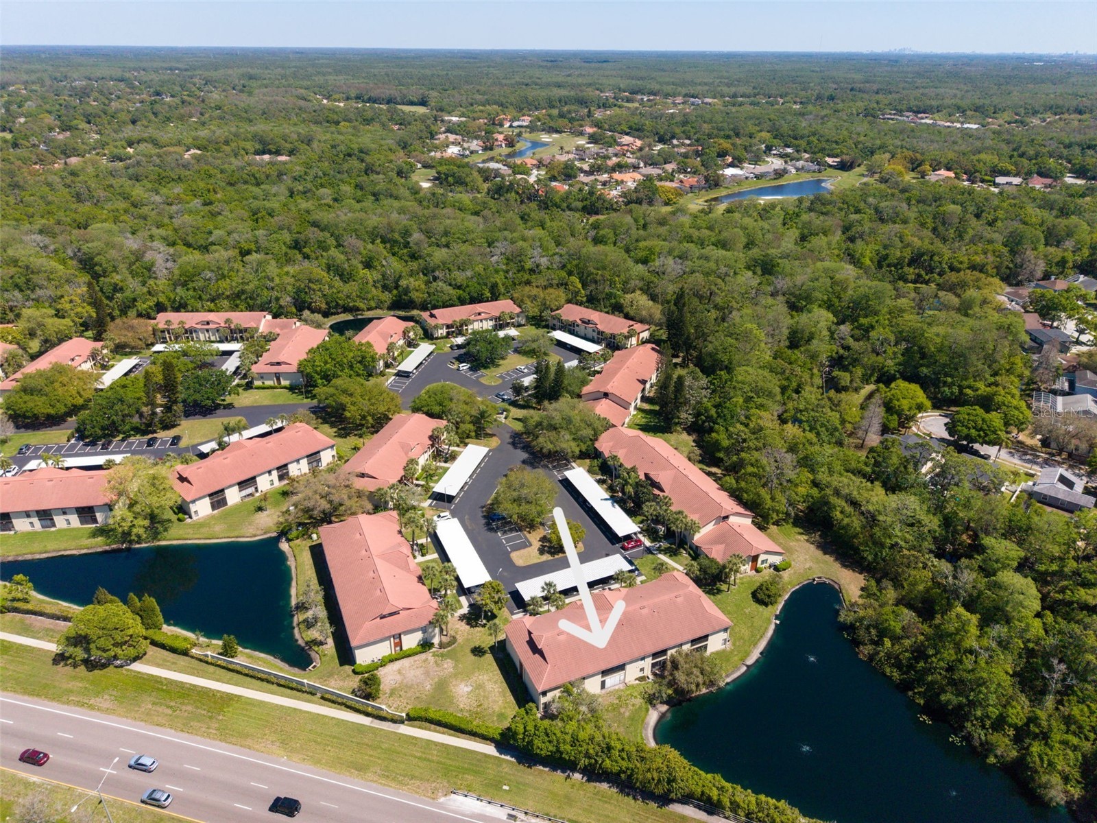 1801 E Lake Road #20C Palm Harbor FL 34685 TB8491123 image51
