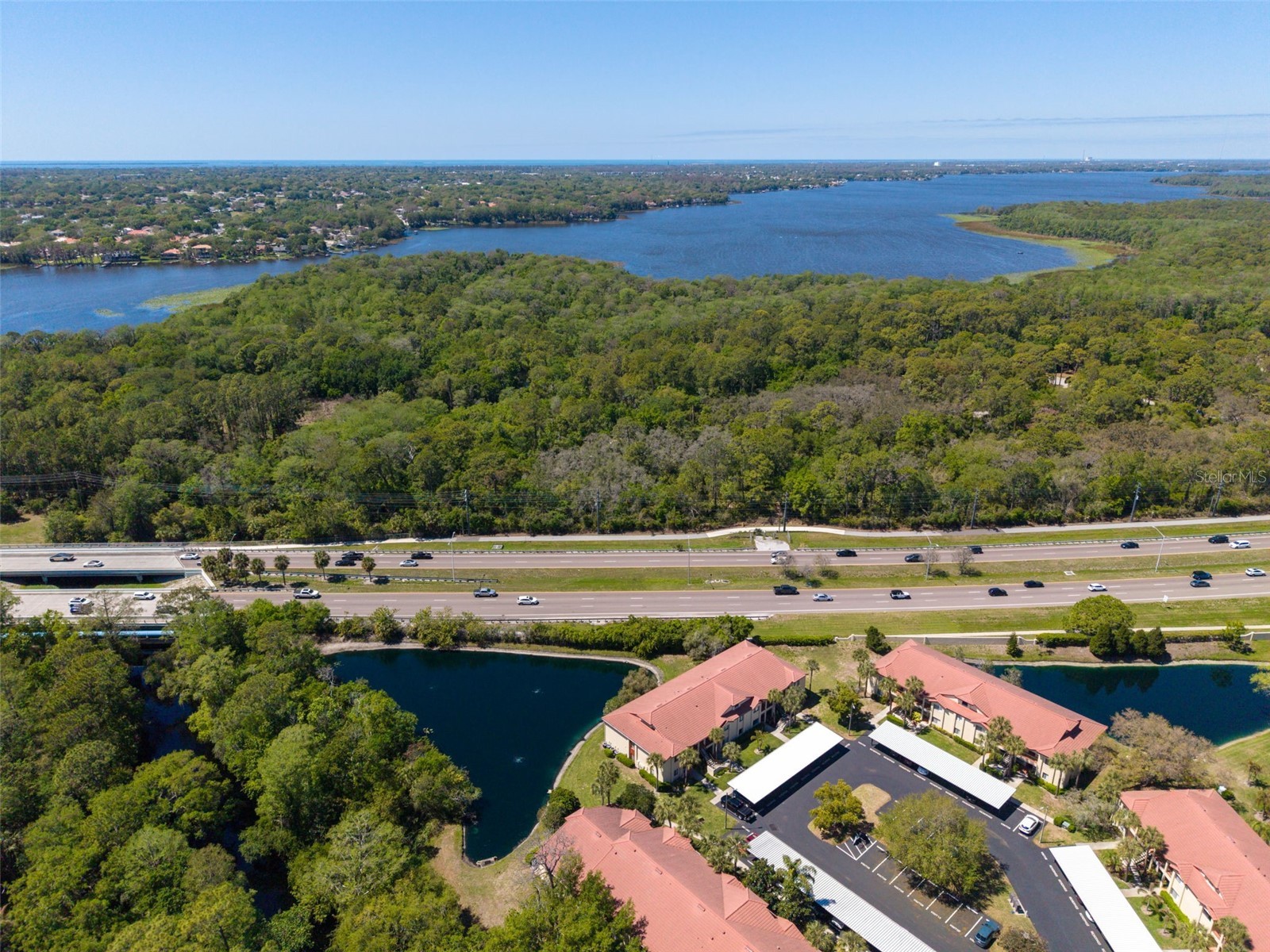 1801 E Lake Road #20C Palm Harbor FL 34685 TB8491123 image56