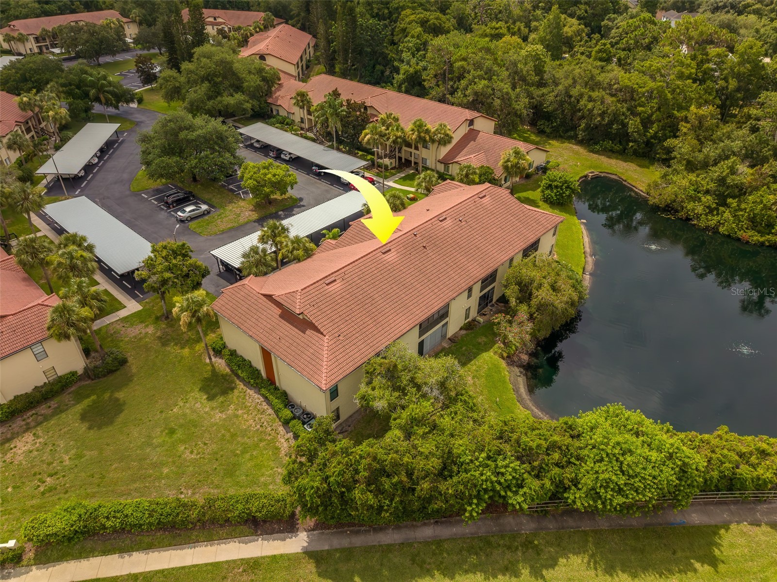 1801 E Lake Road #20G Palm Harbor FL 34685 TB8524703 image46