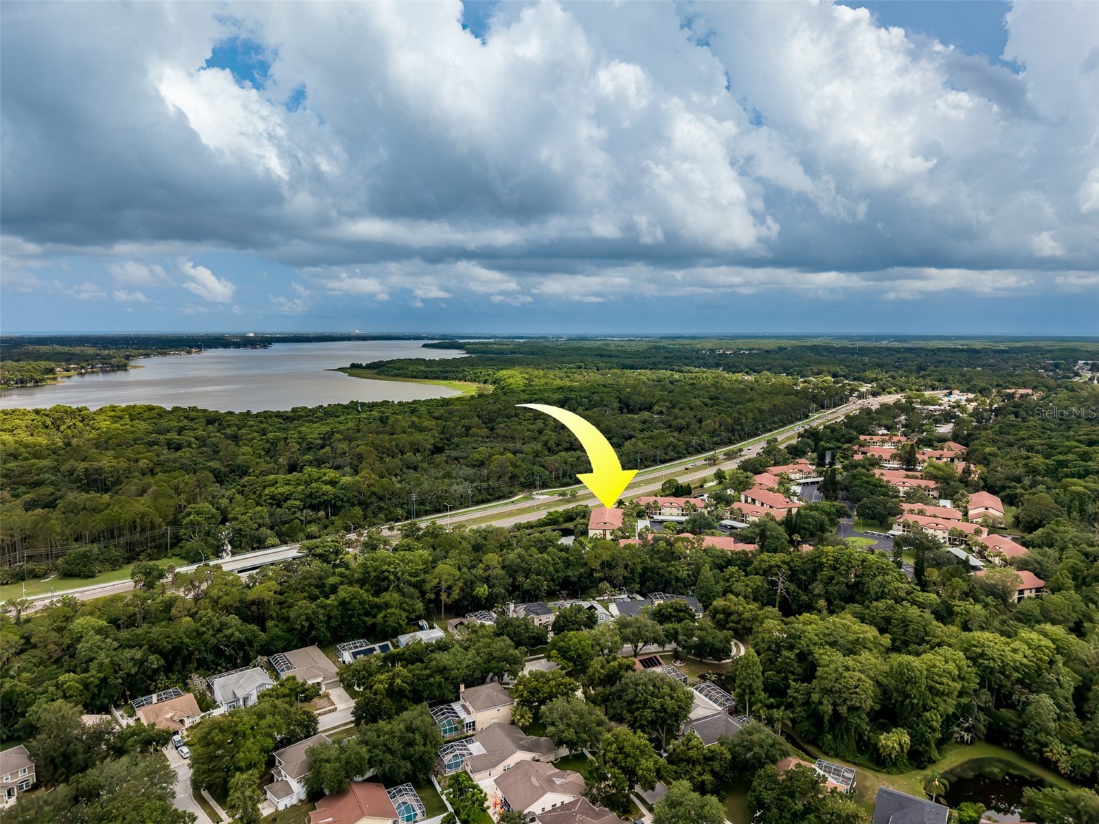 1801 E Lake Road #20G Palm Harbor FL 34685 TB8524703 image48