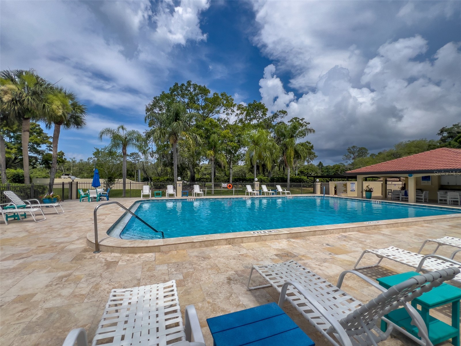 1801 E Lake Road #20G Palm Harbor FL 34685 TB8524703 image51